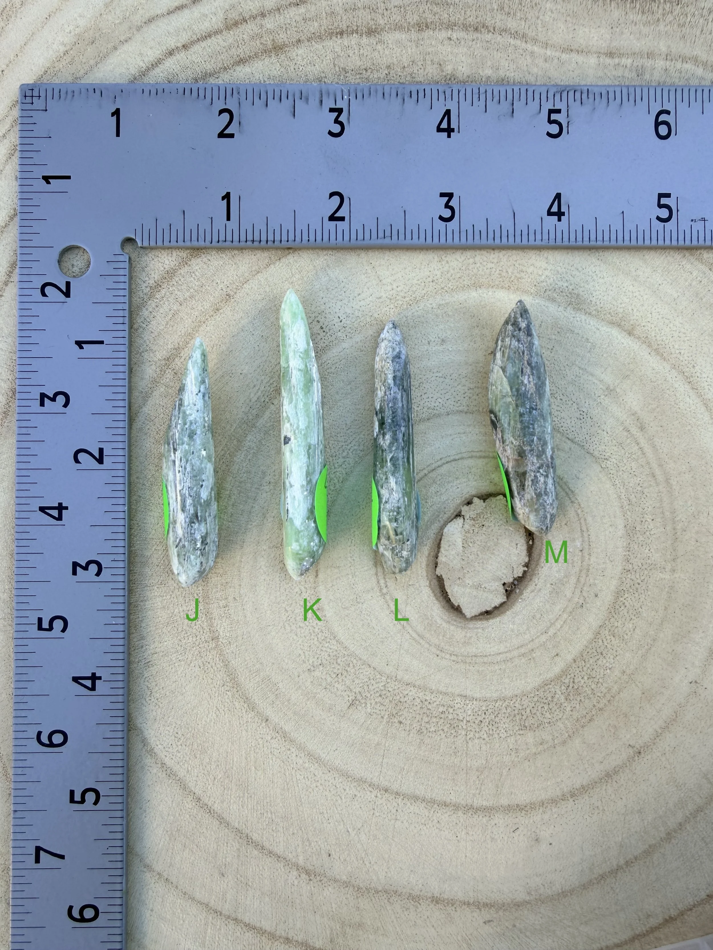 20 dollar points.jpeg