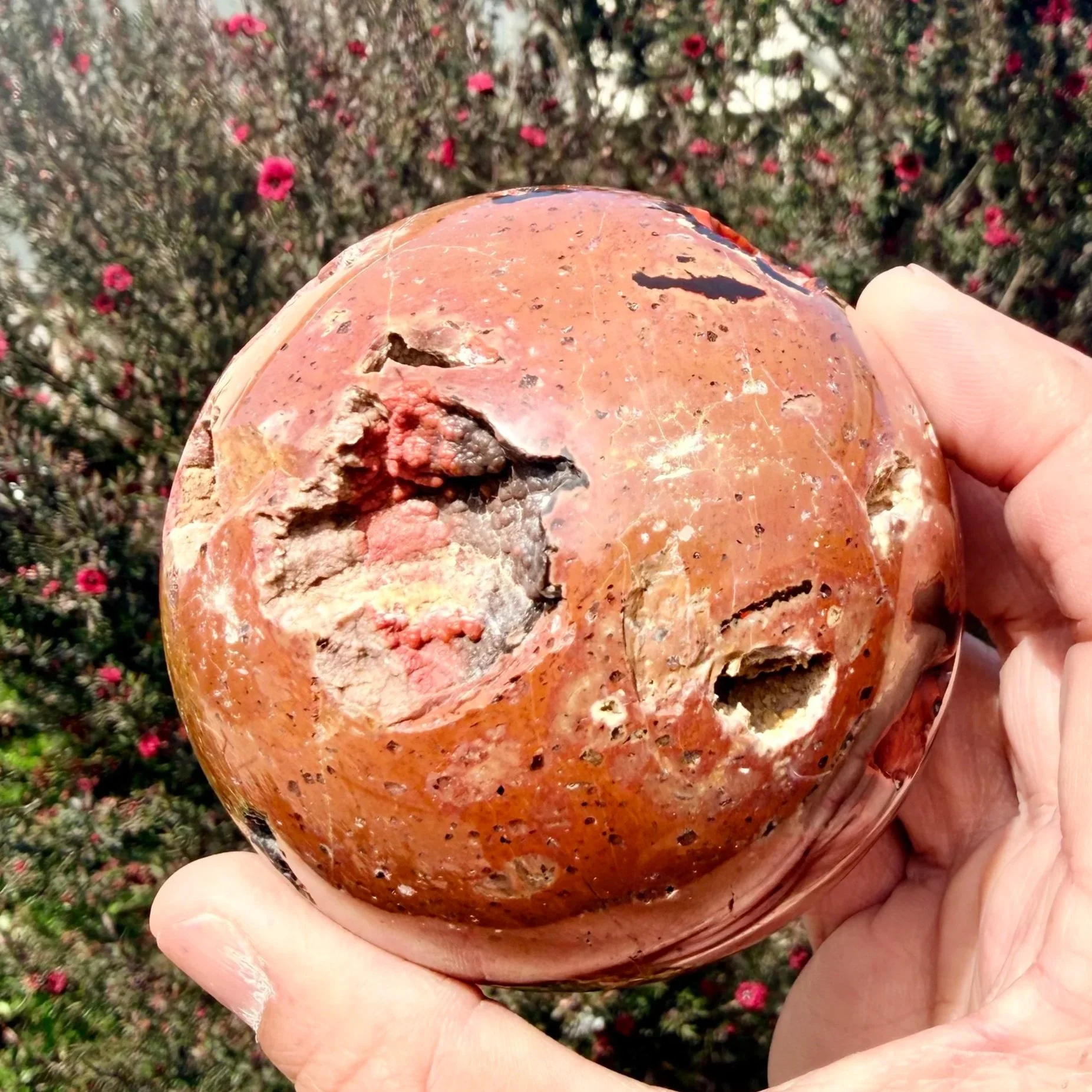 IMG_7719.jpg