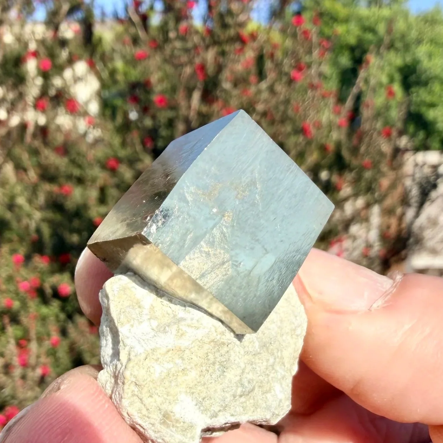 Pyrite Cube on Matrix (Spain)