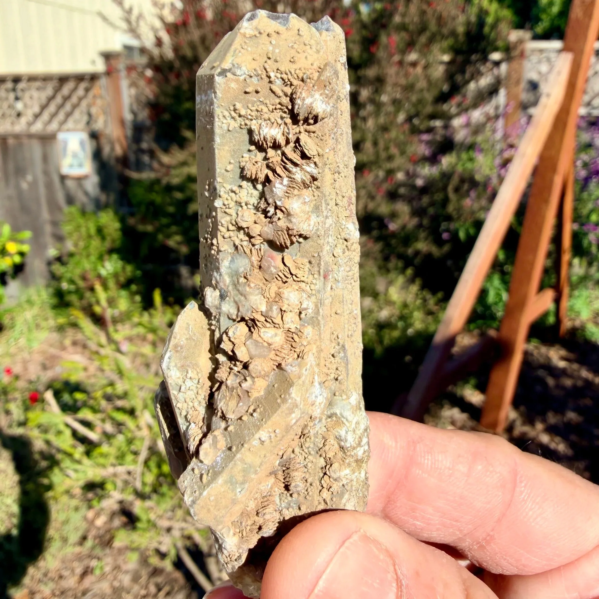 Prase (Hedenbergite) Quartz with Hematite (Mongolia)