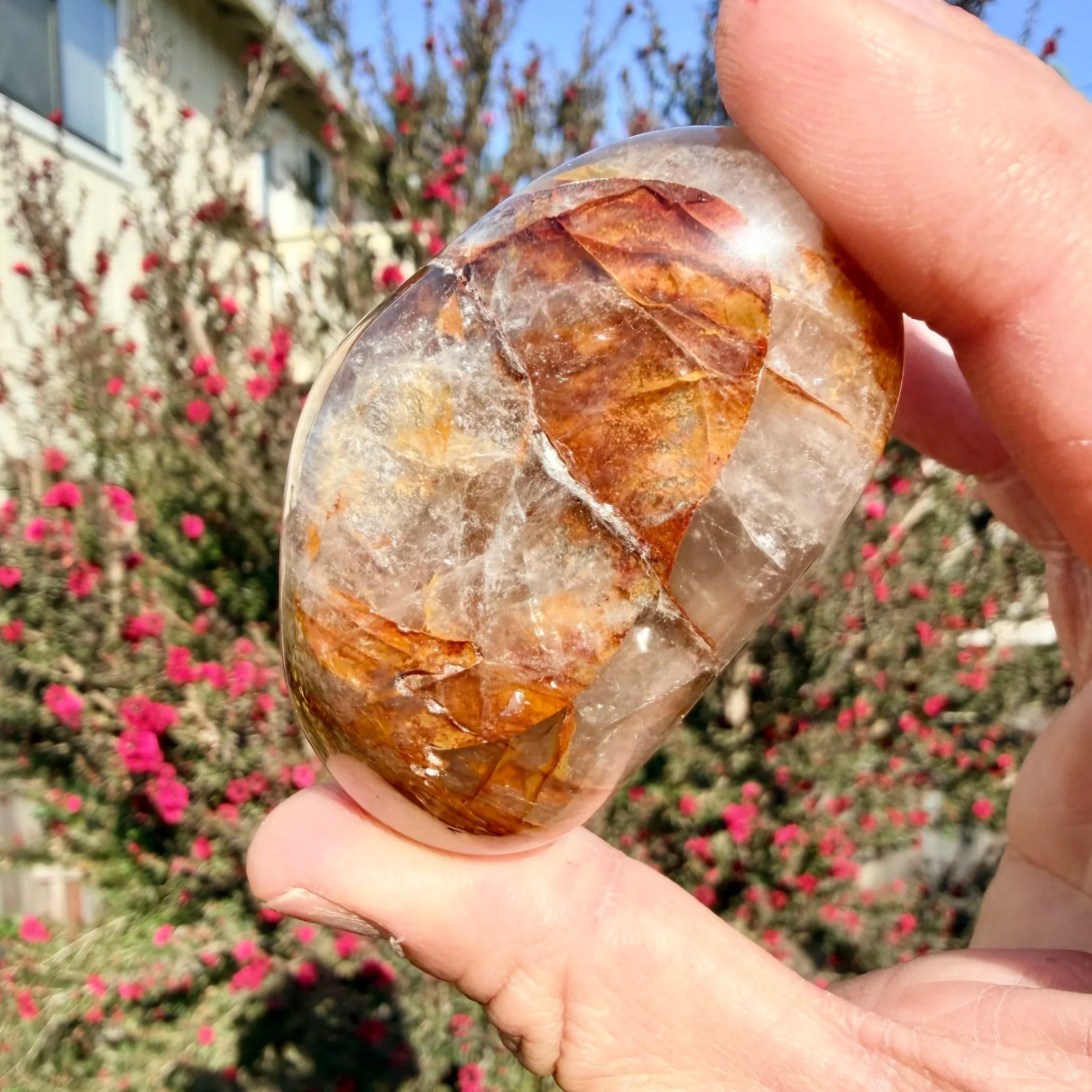 Golden Healer Palm Stone