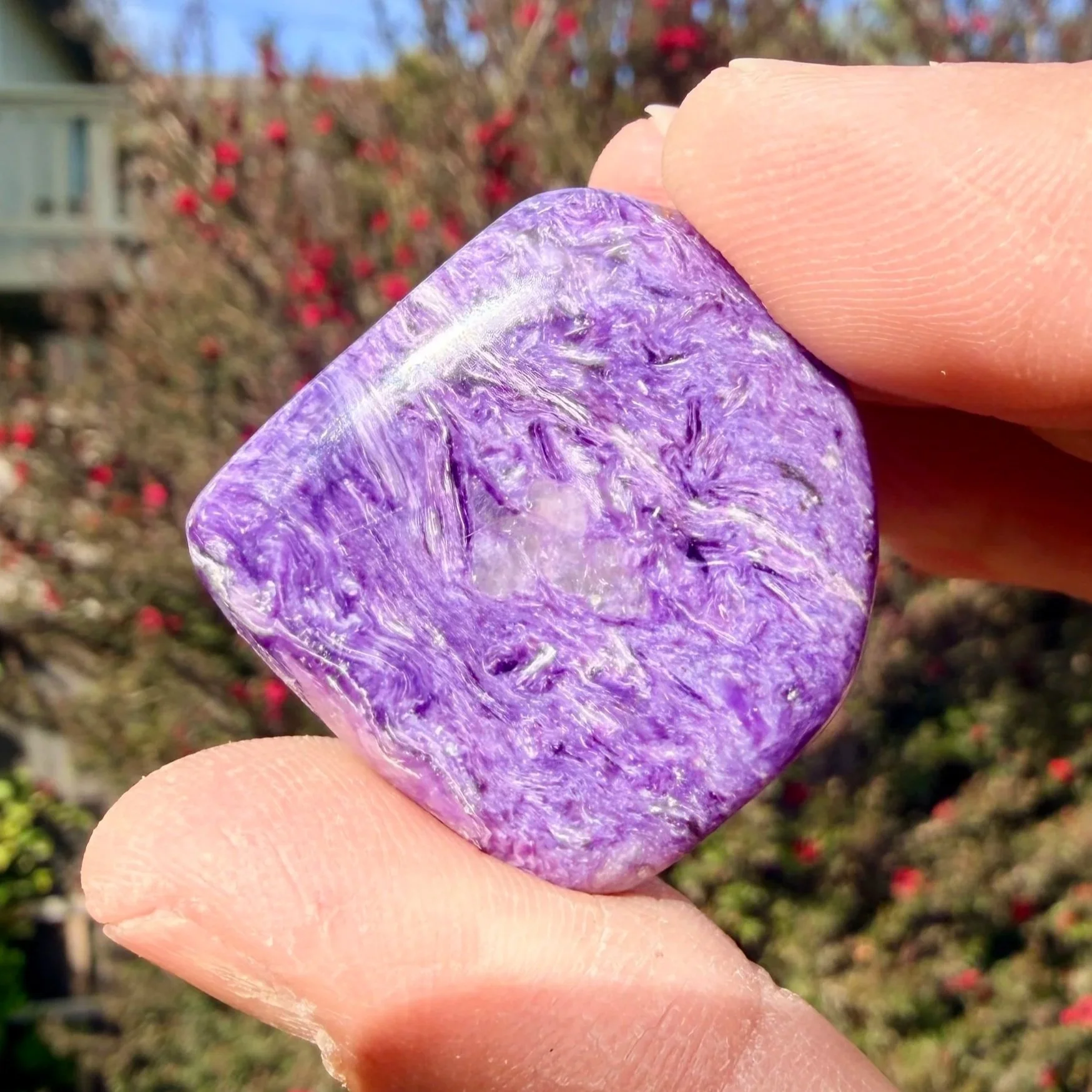 Charoite Medallion