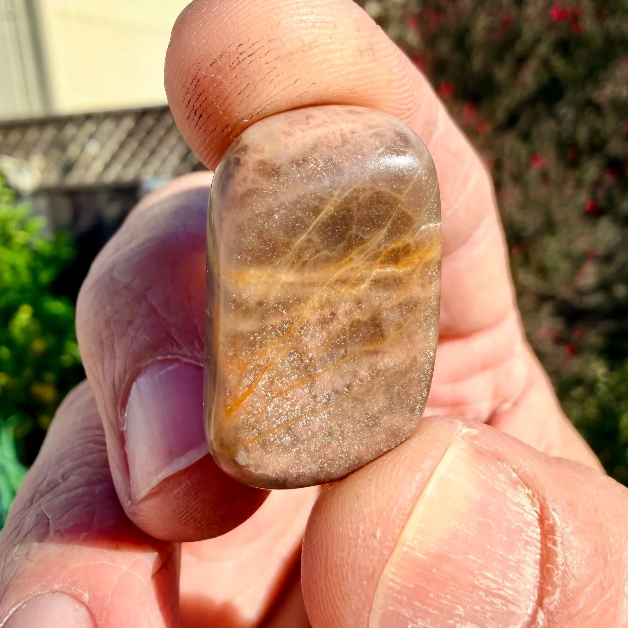 Black Moonstone Tumbled Stones - Buy 1 Get 2 Free