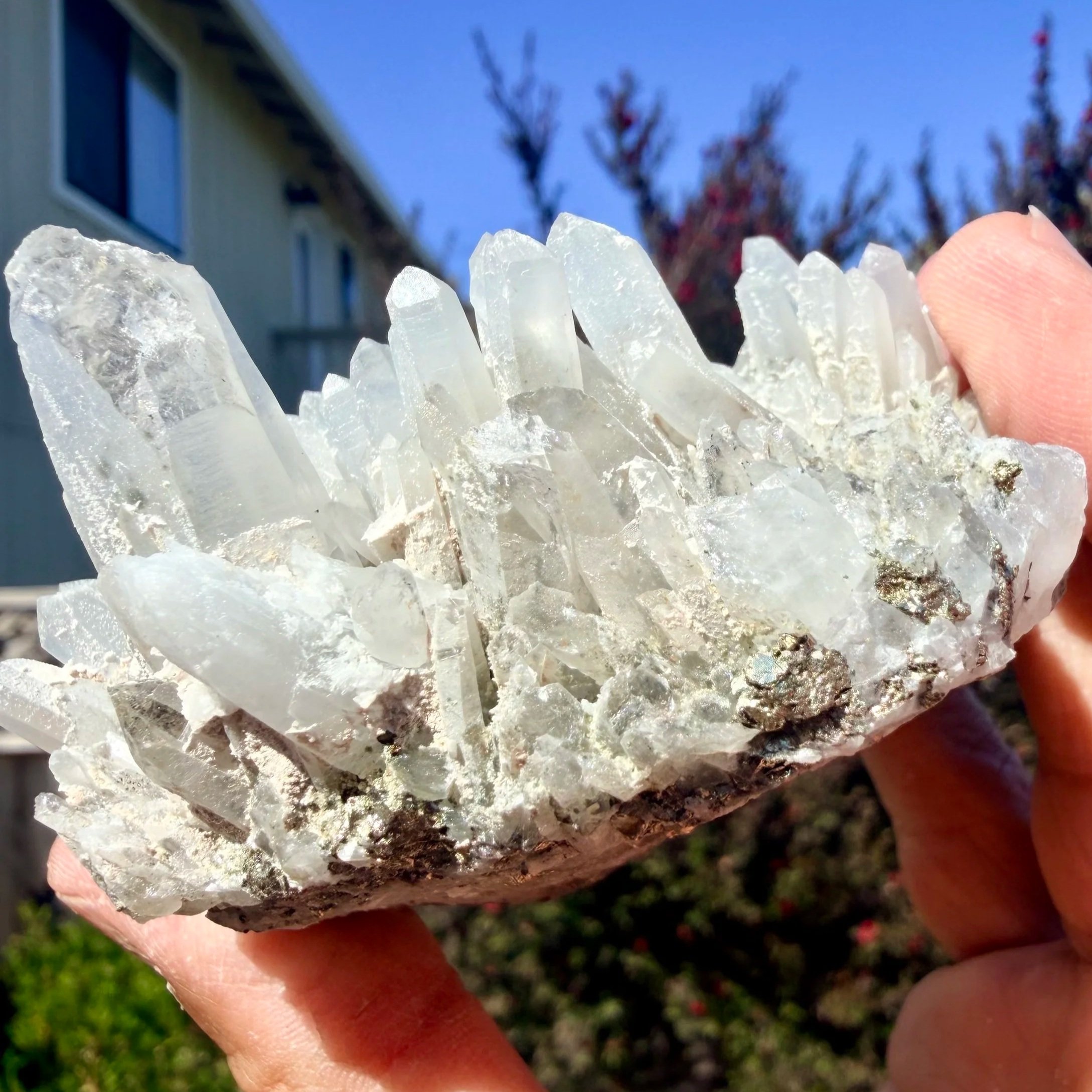 IMG_8484.jpg