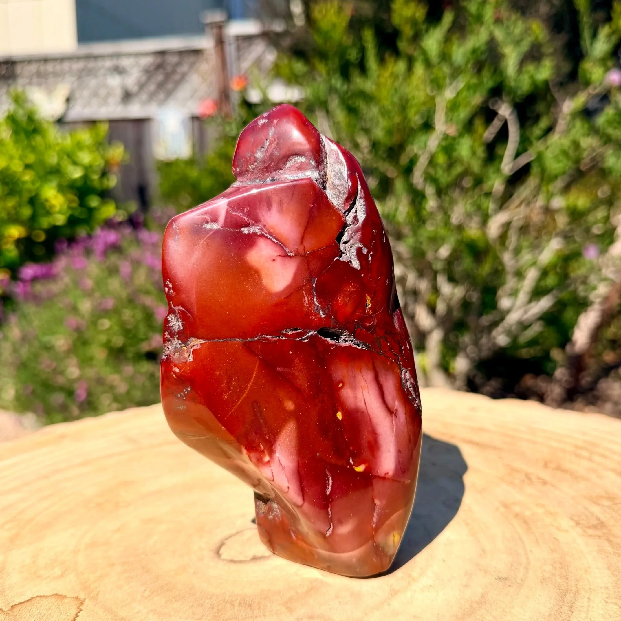 Ancient Sunrise - Mookaite with Hematite