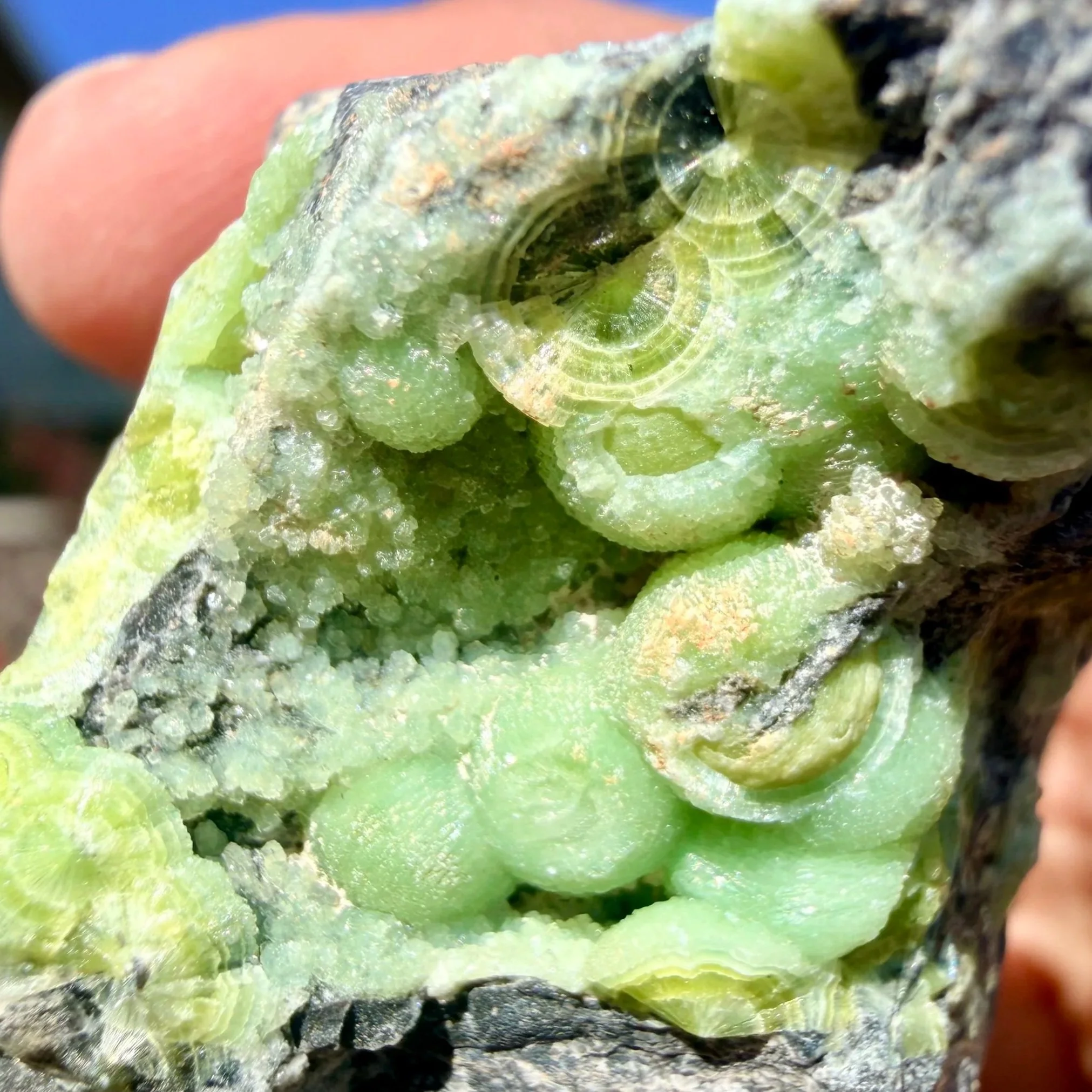 Wavellite (Arkansas)