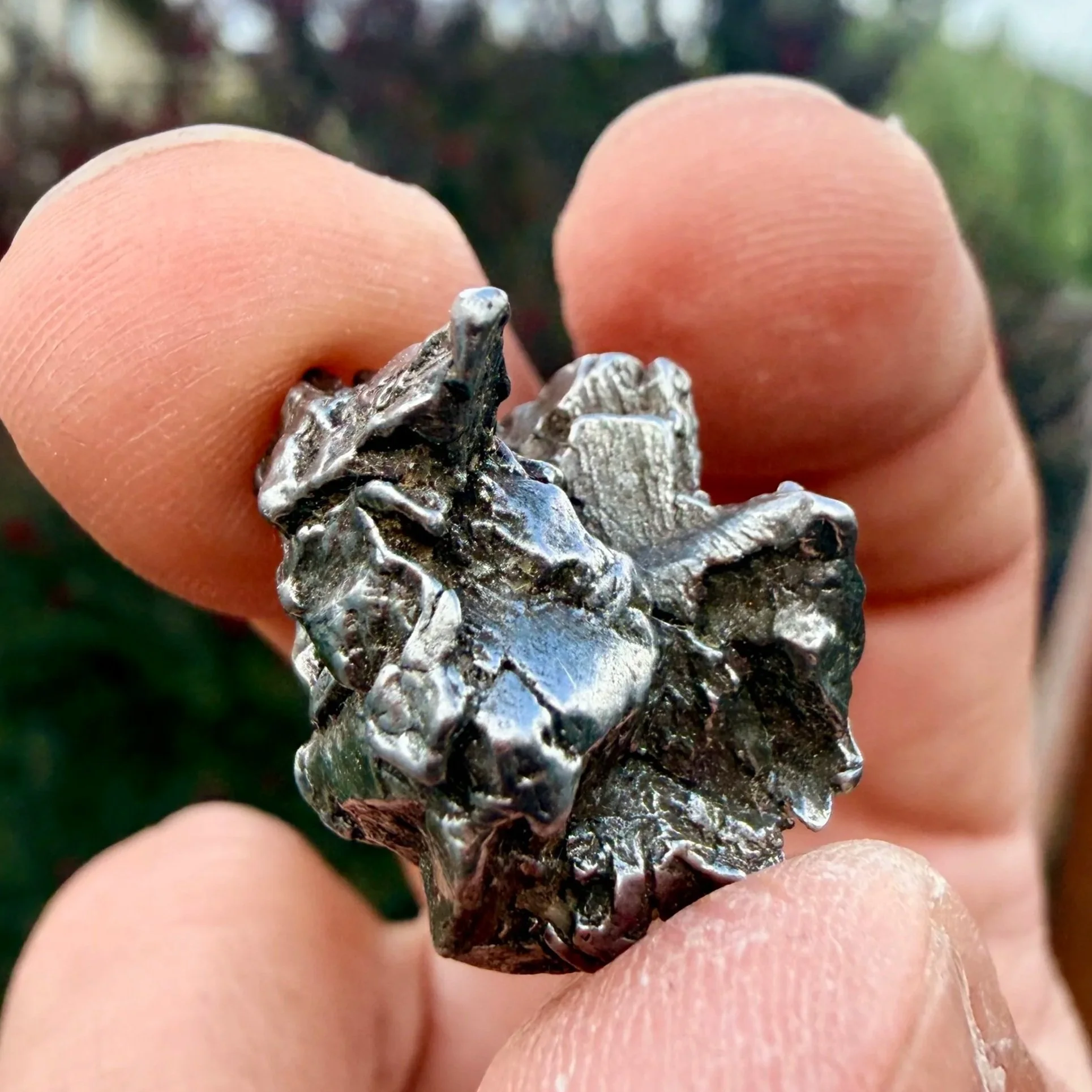Aletai Meteorite
