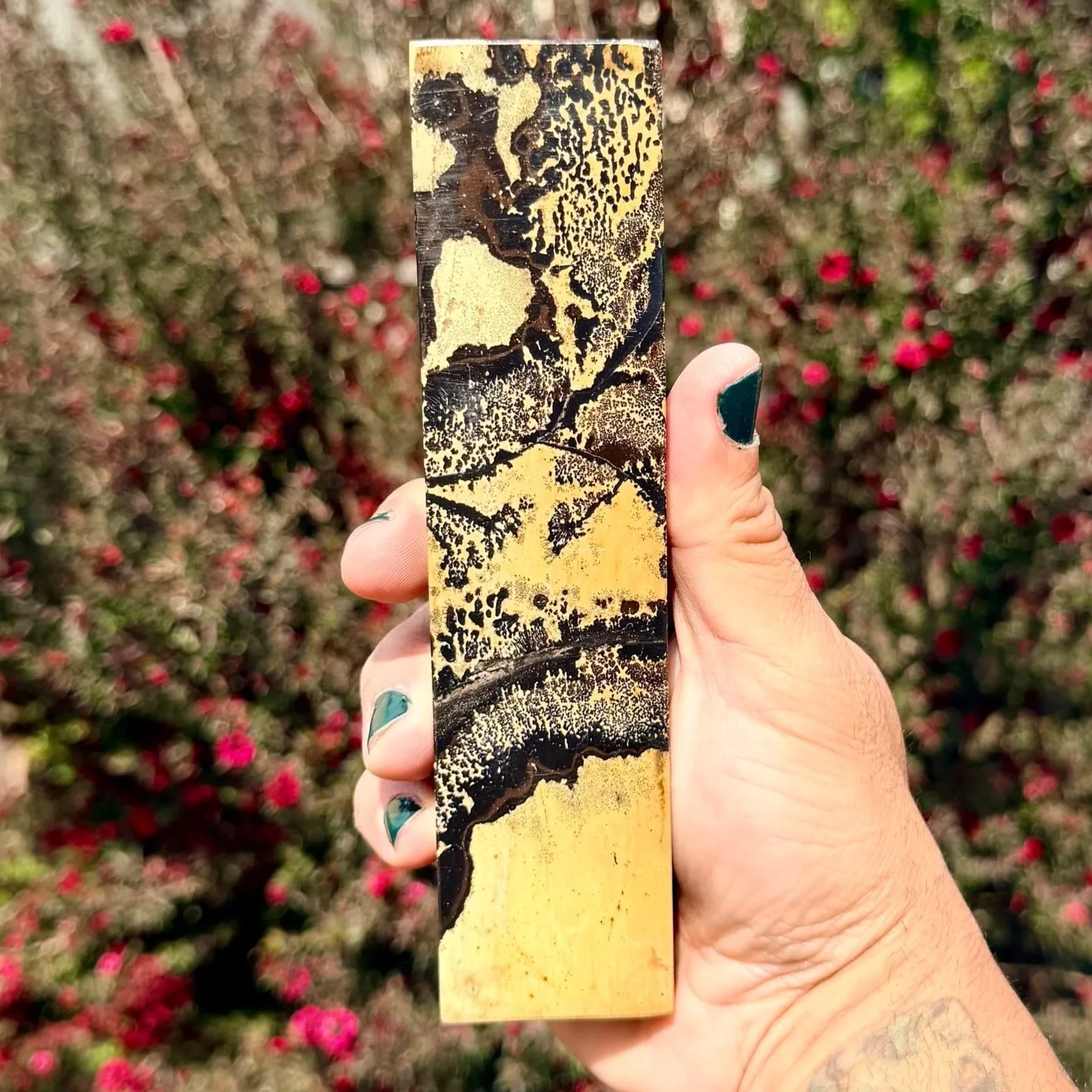 Dendritic Picture Jasper Slab