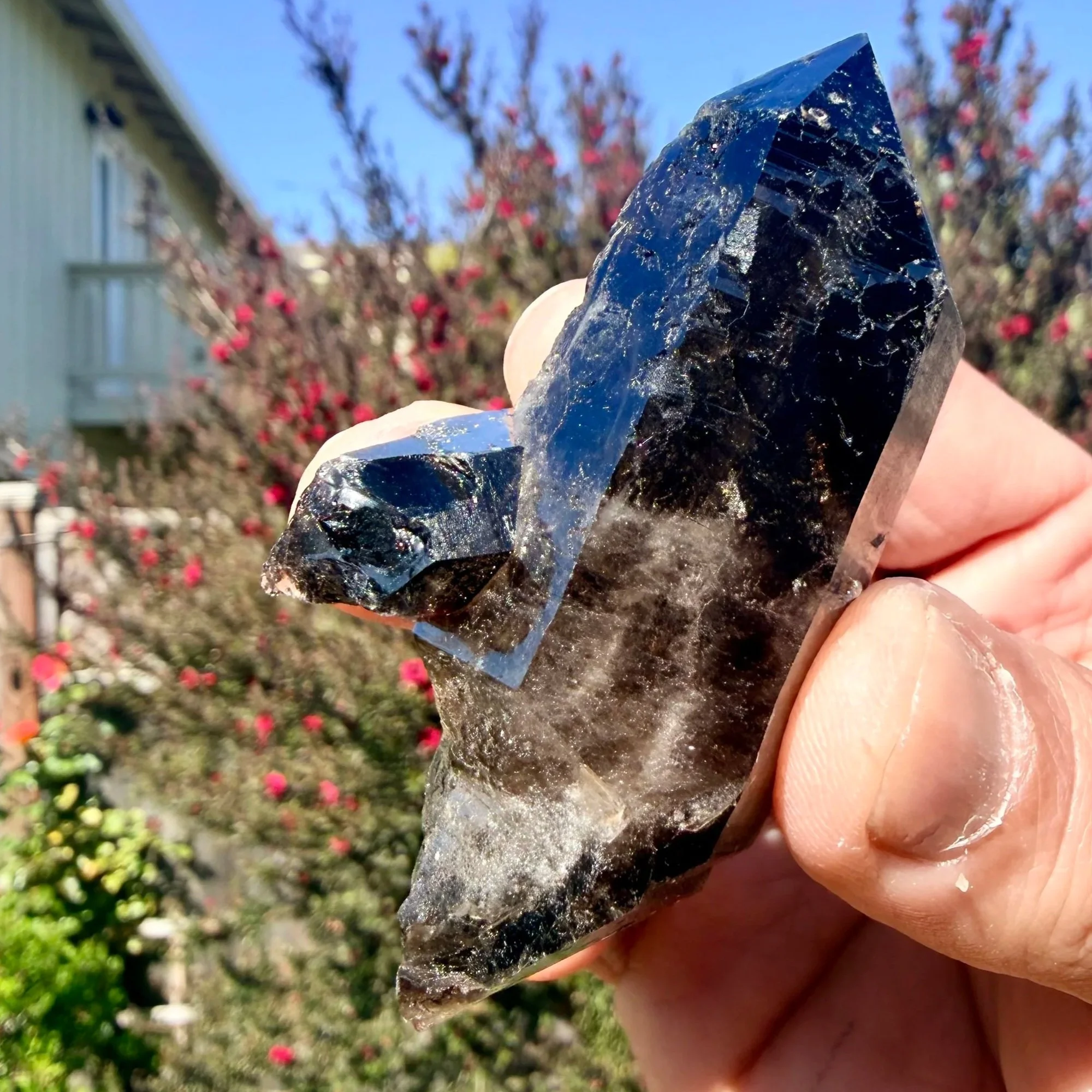 Morion (Black Smoky) Quartz Double Terminated Point