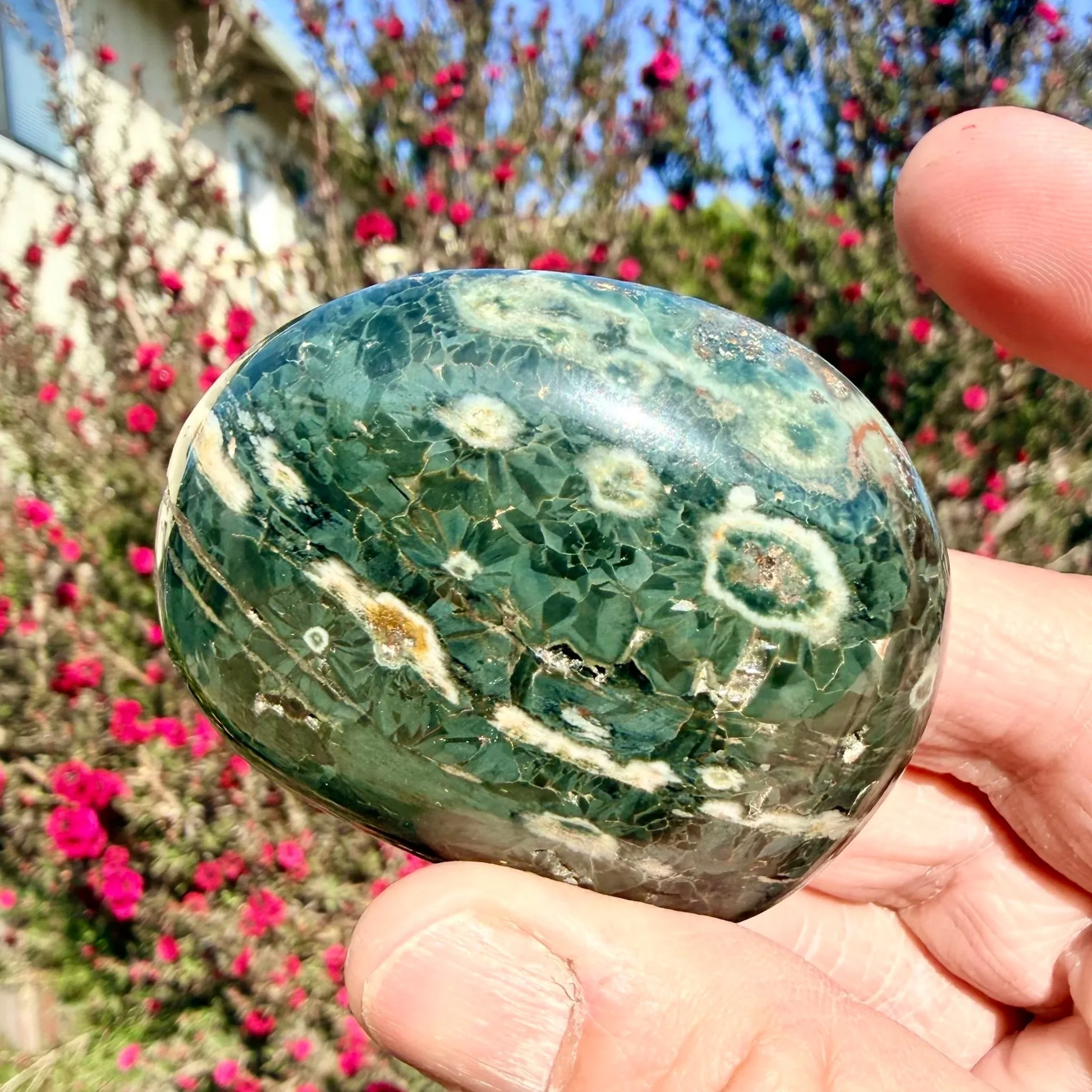 Sea/Ocean Jasper Palmstone