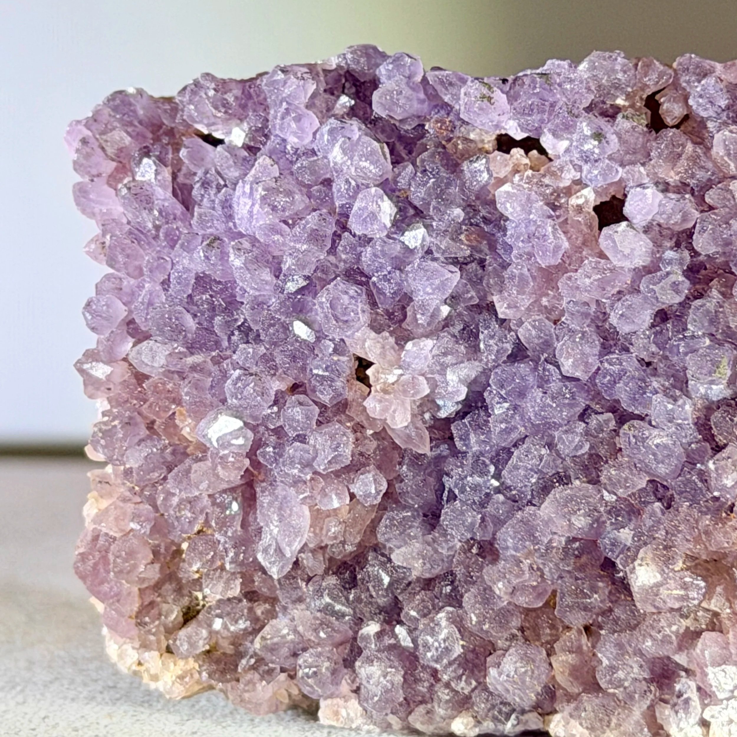 IMG_2917.jpg