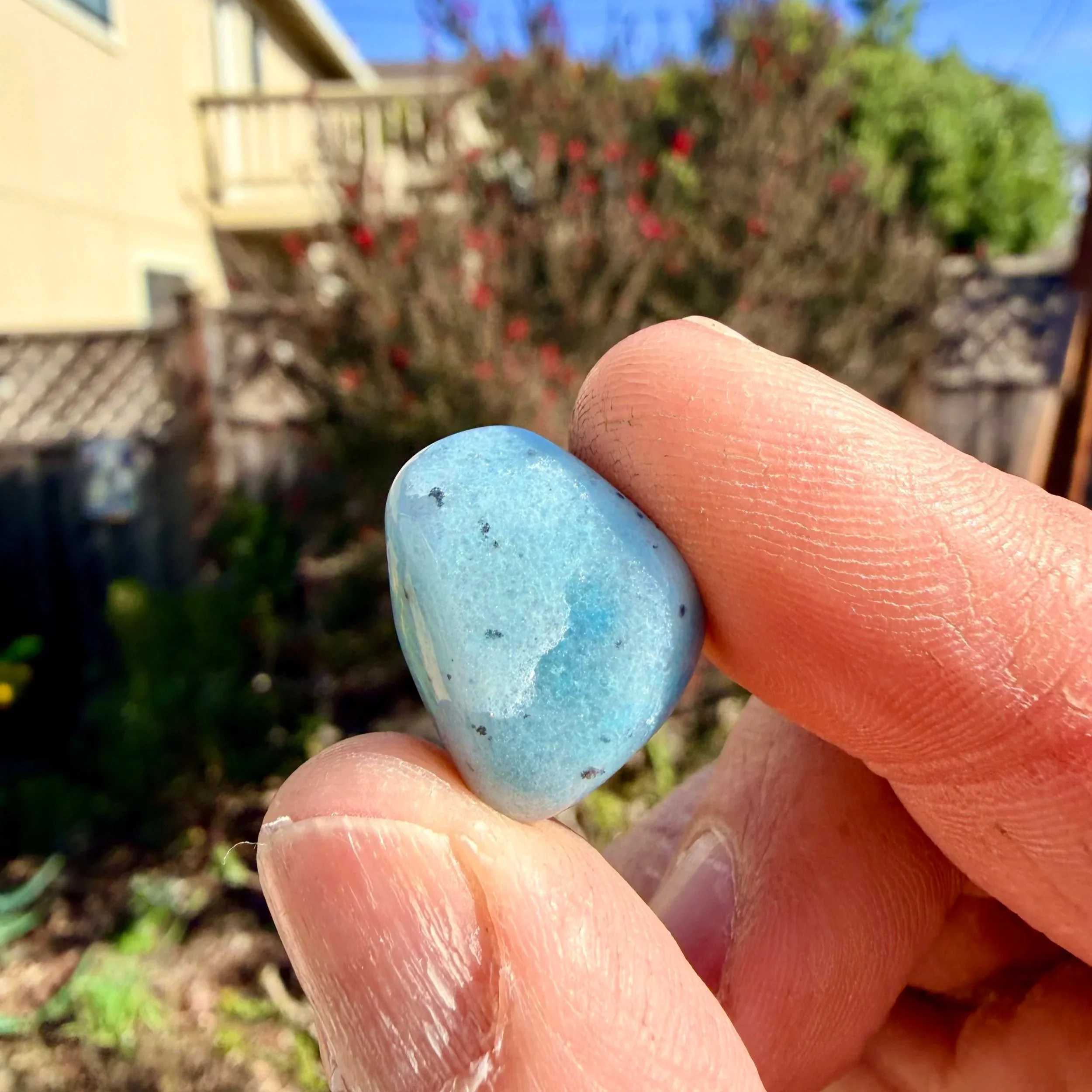 Trolleite Chips - Buy 1 Get 2 Free!