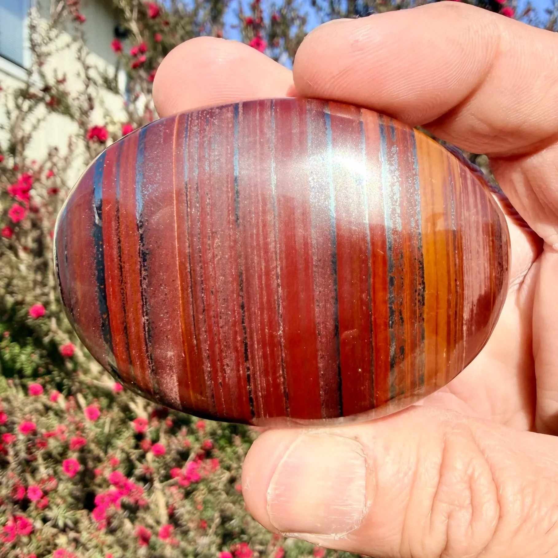 Tiger Iron Palm Stone