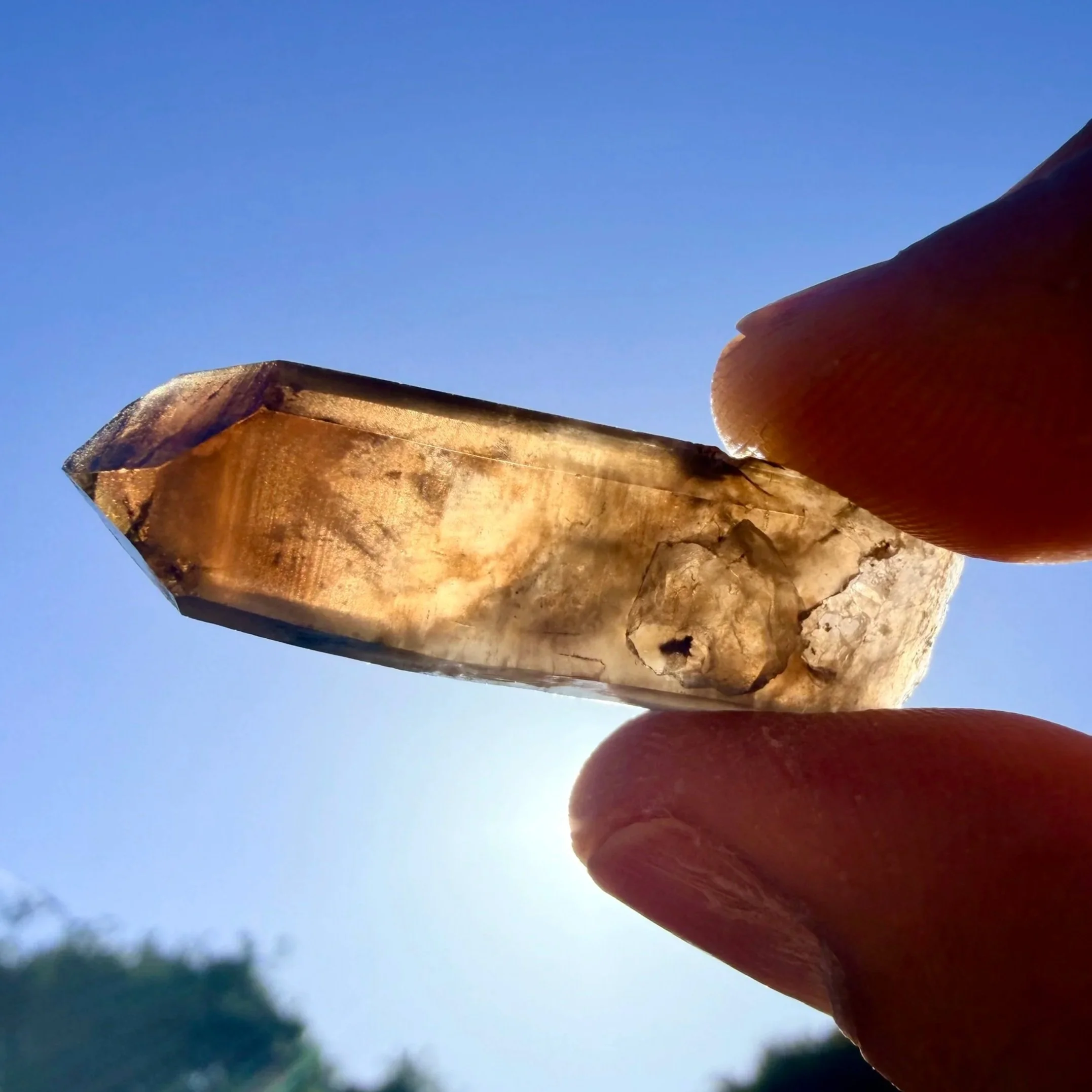 Smoky Quartz Point with Aegerine