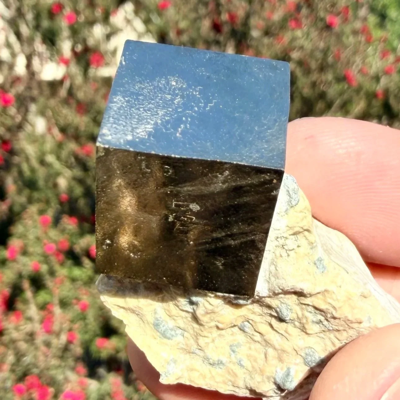 Pyrite Cube on Matrix (Spain)