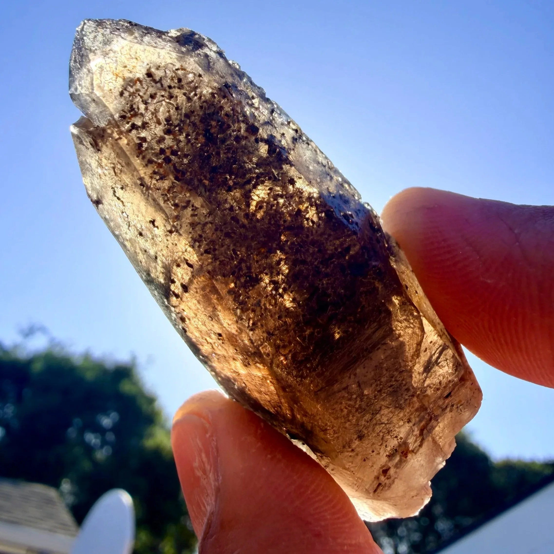 Smoky Quartz Point with Aegerine