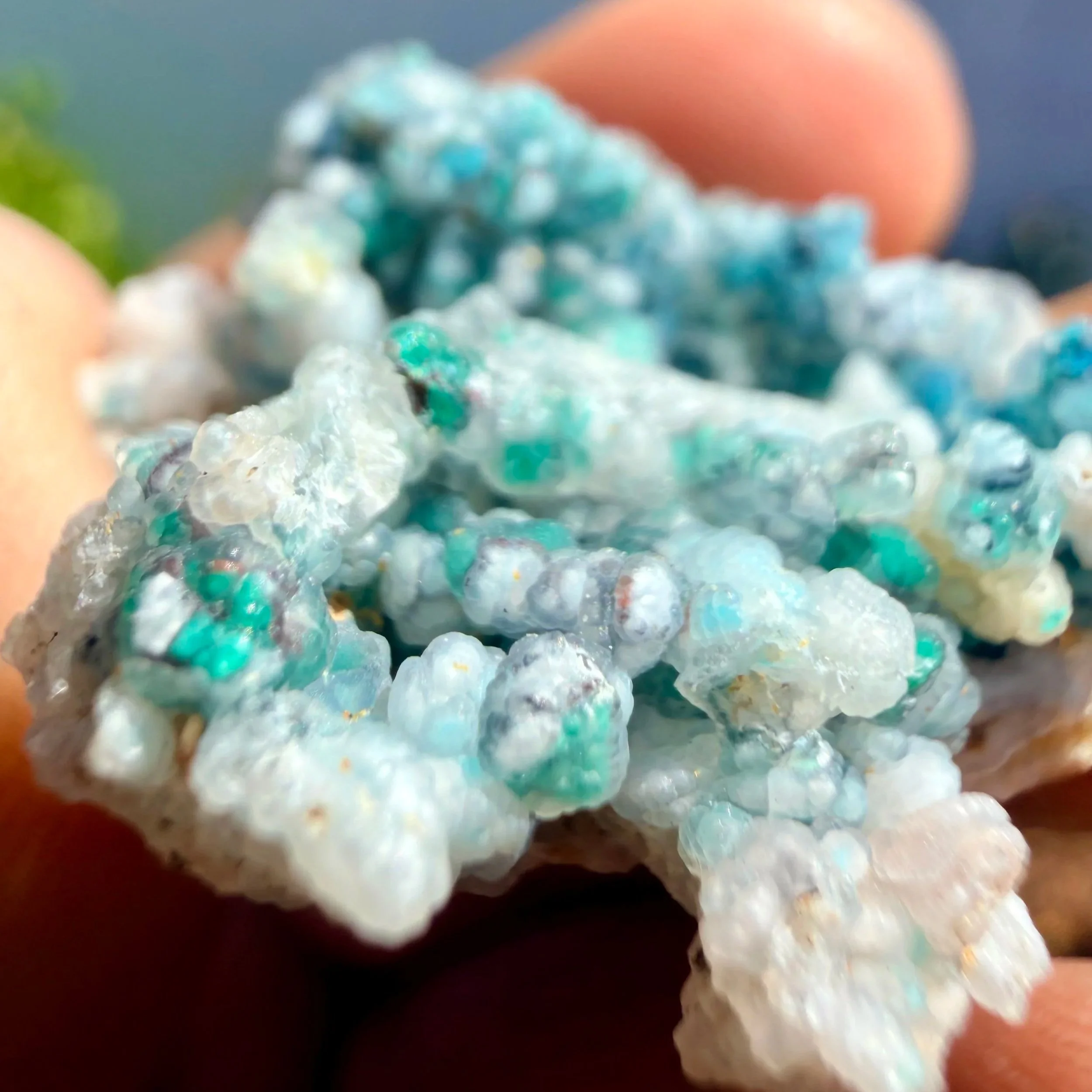 Chrysocolla in Chalcedony