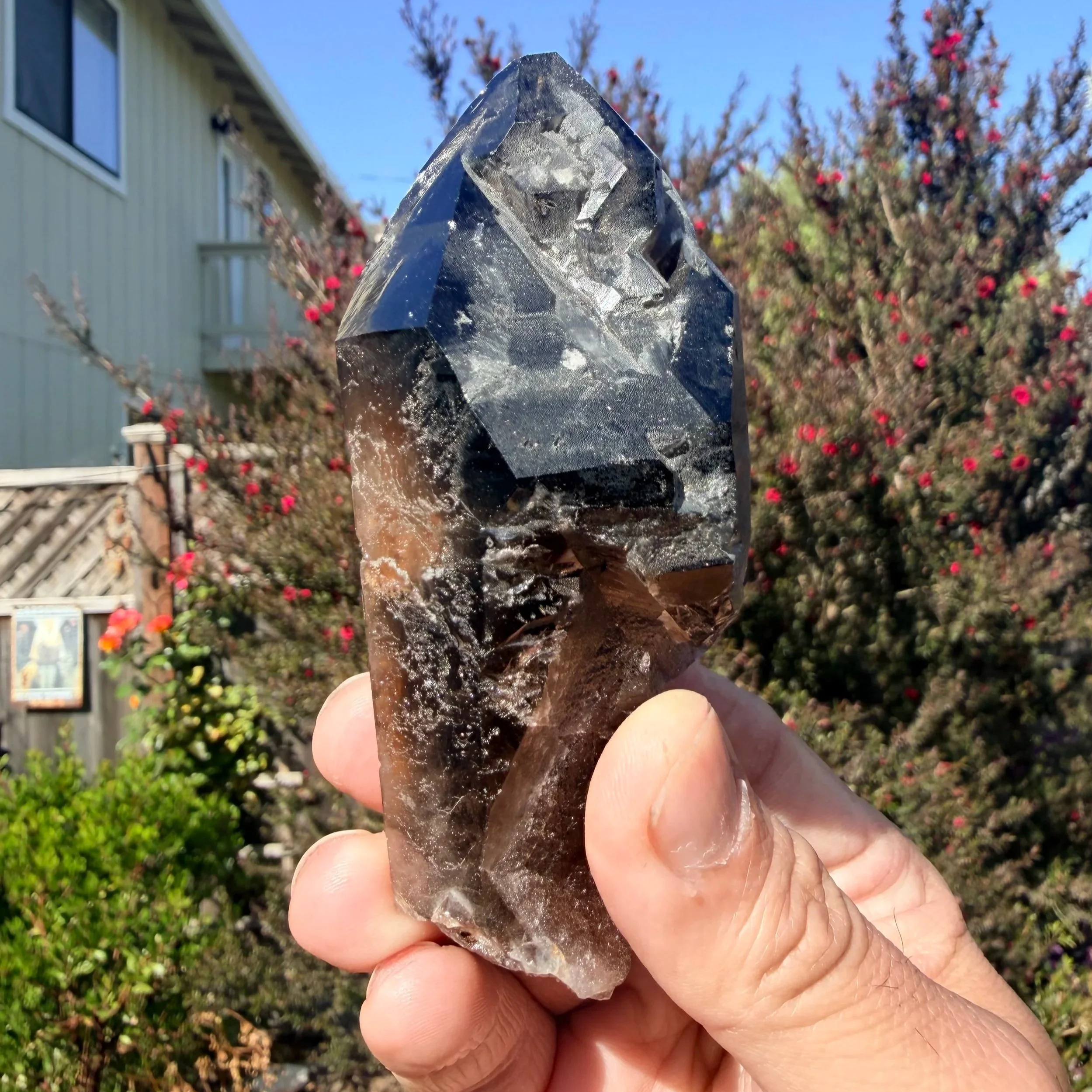 Morion (Black Smoky) Quartz Point