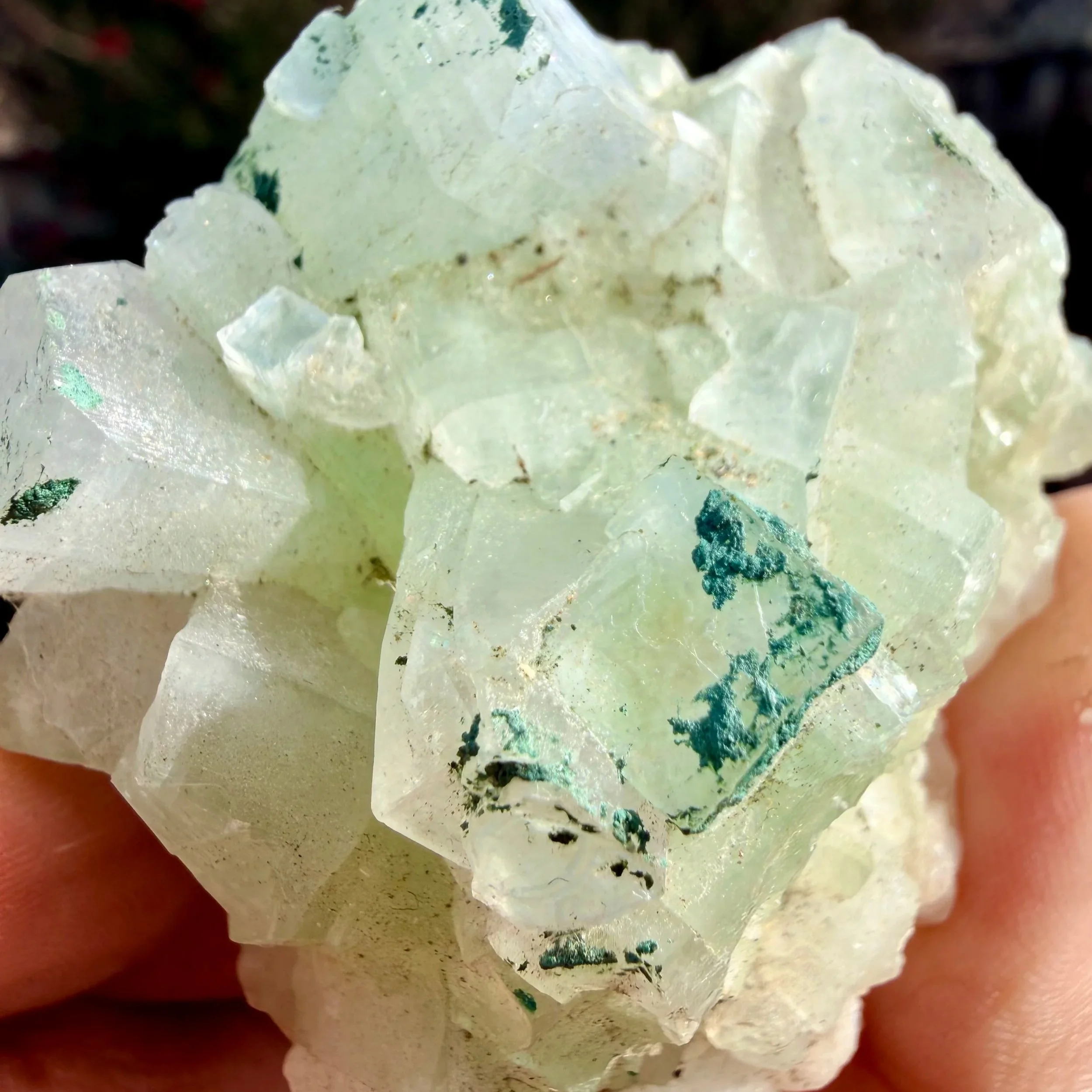 Green Apophyllite Specimen