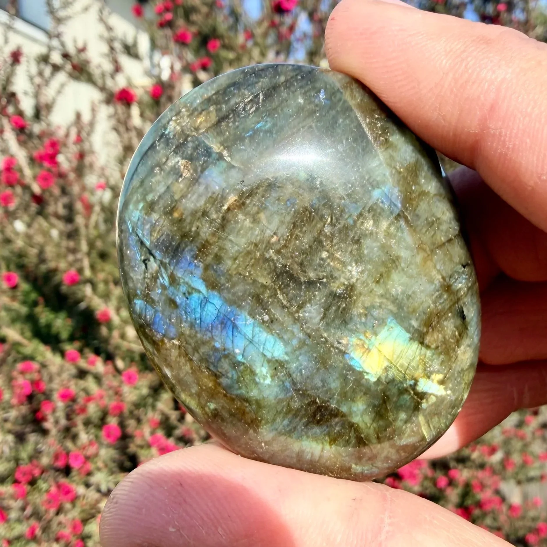 Labradorite Palm Stone