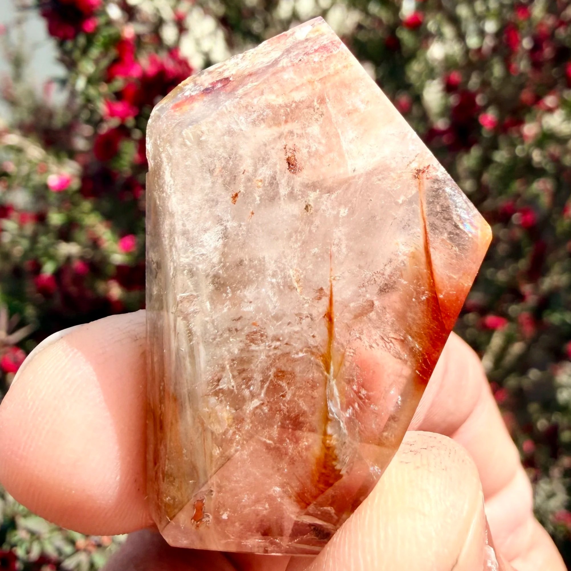 Amphibole Quartz Freeform