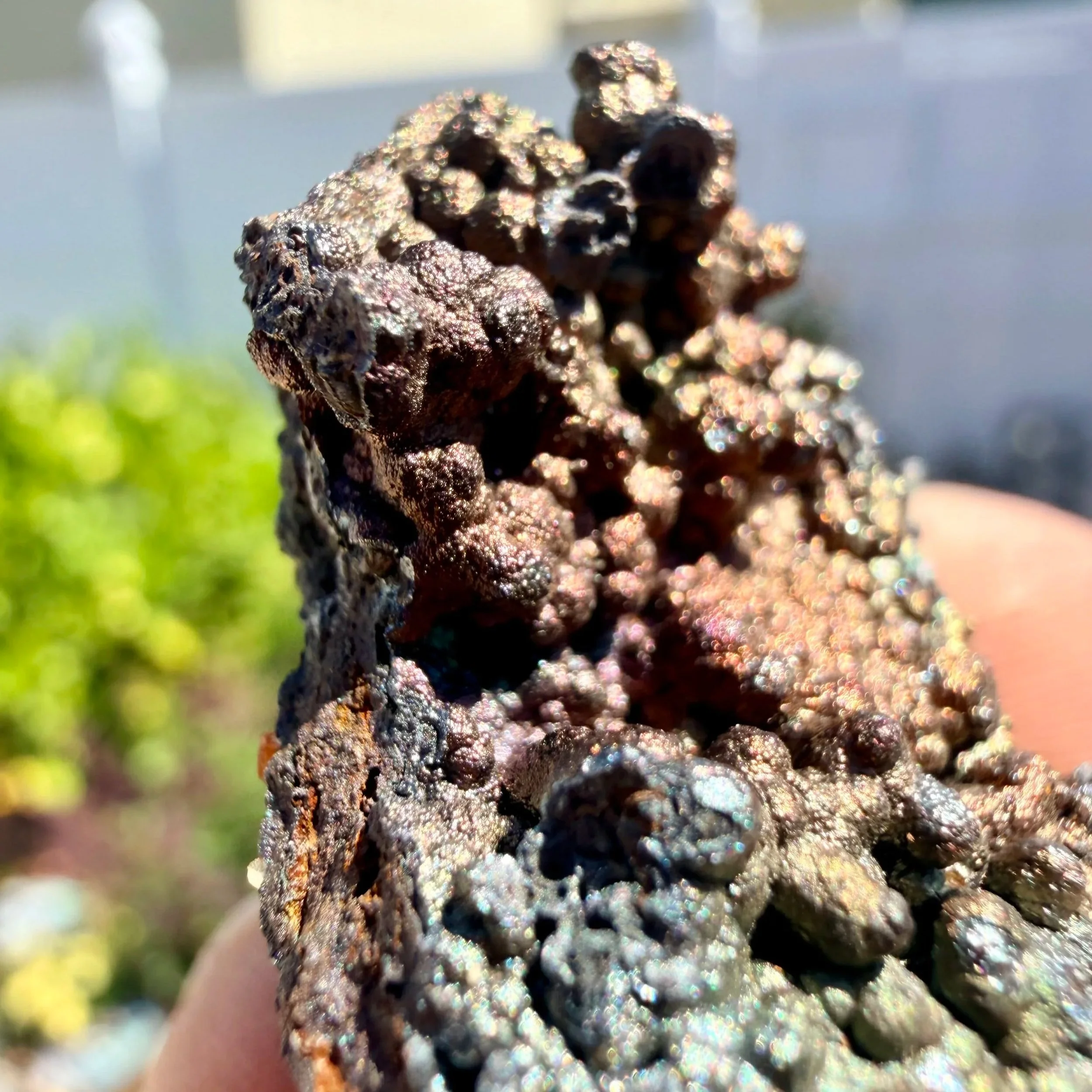 Iridescent Goethite