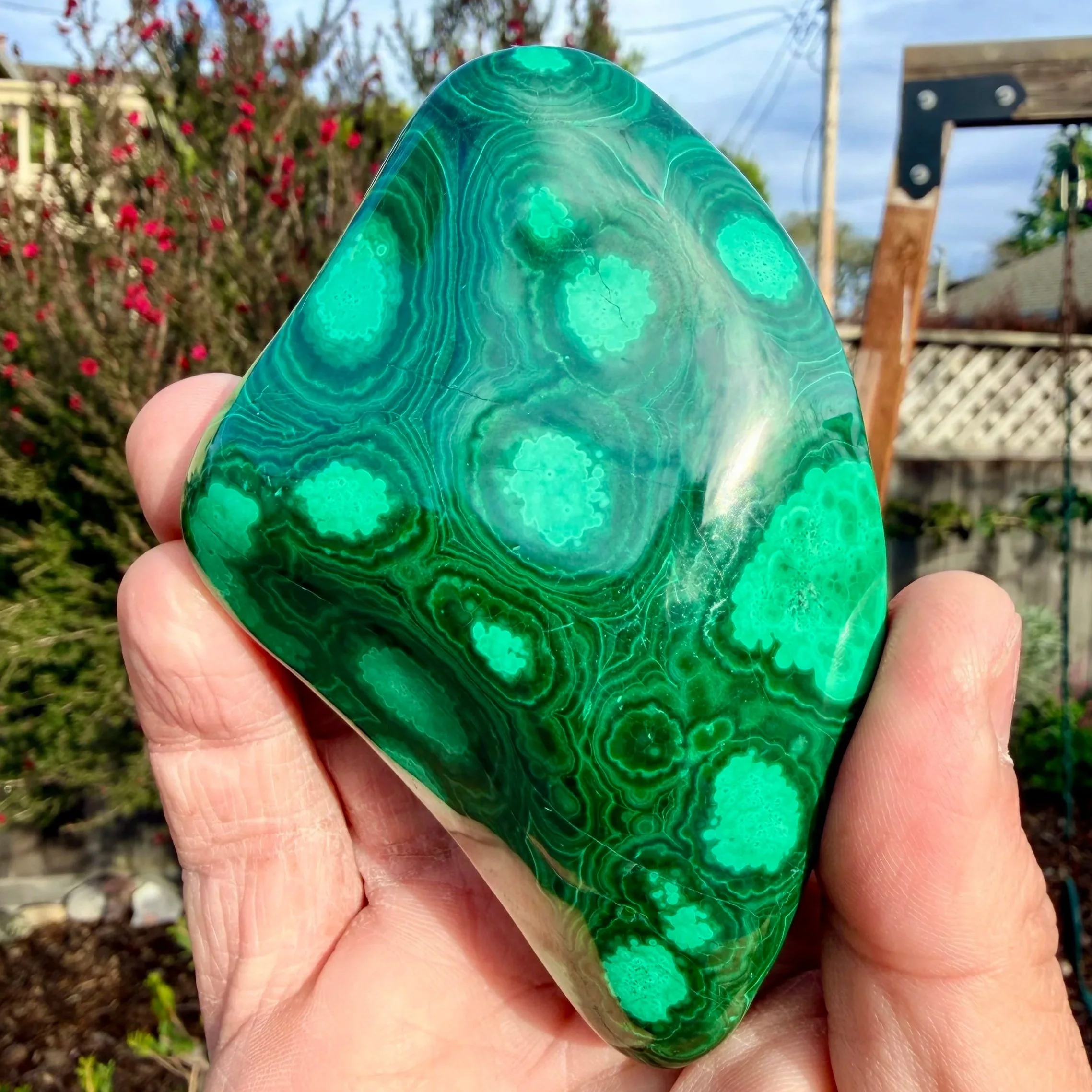 Malachite Freeform - Congo
