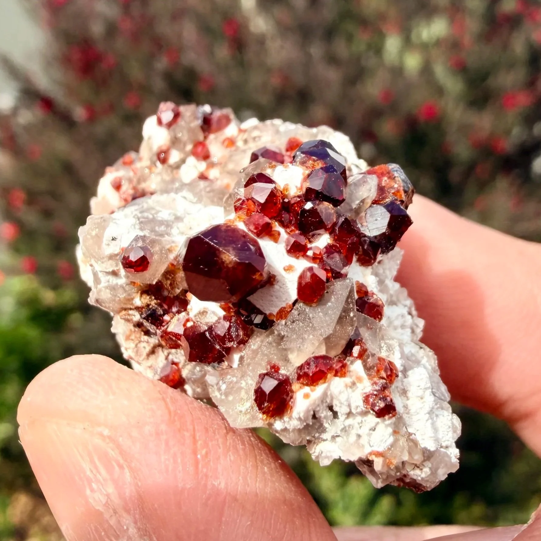 Spessartine Garnet with Smoky Quartz (Tongbei)