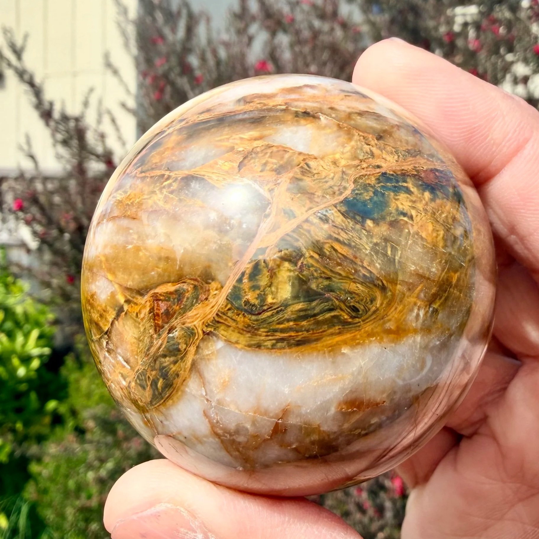 Nellite (Tiger's Eye & Pietersite)