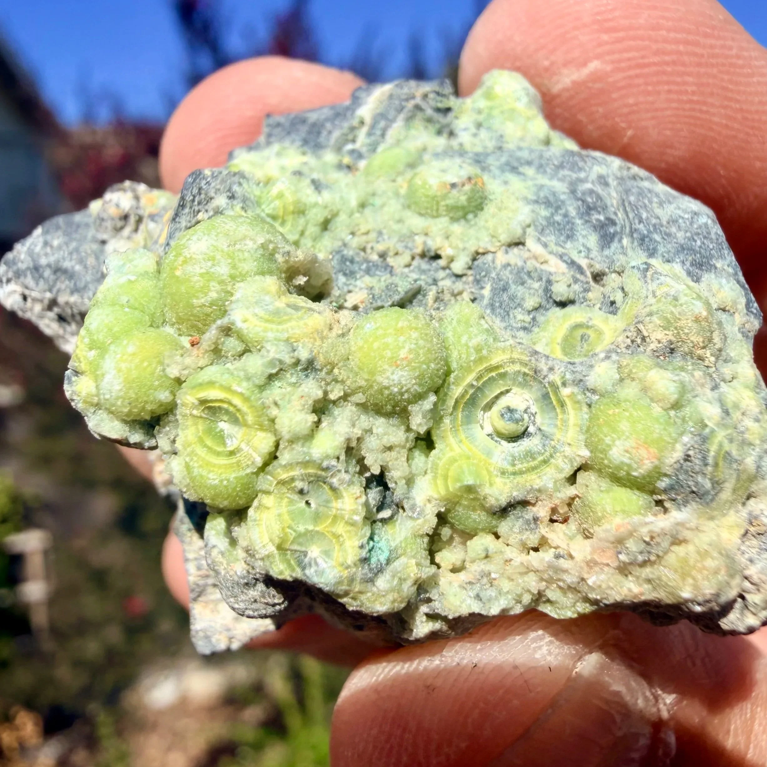 Wavellite (Arkansas)