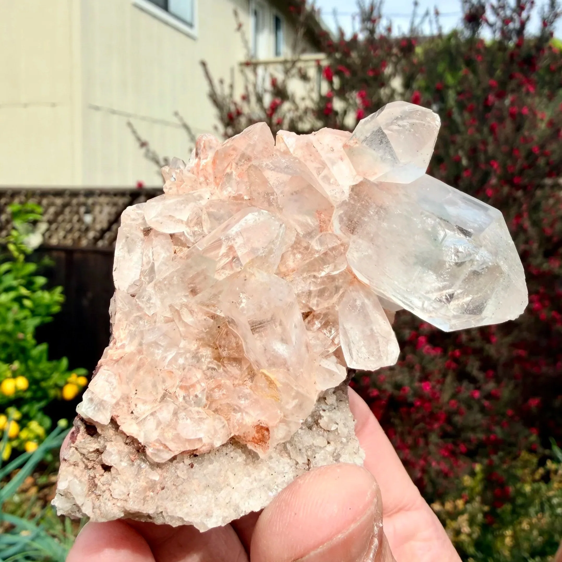 Tibetan (Himalayan) Pink Quartz Cluster with Chlorite Phantoms