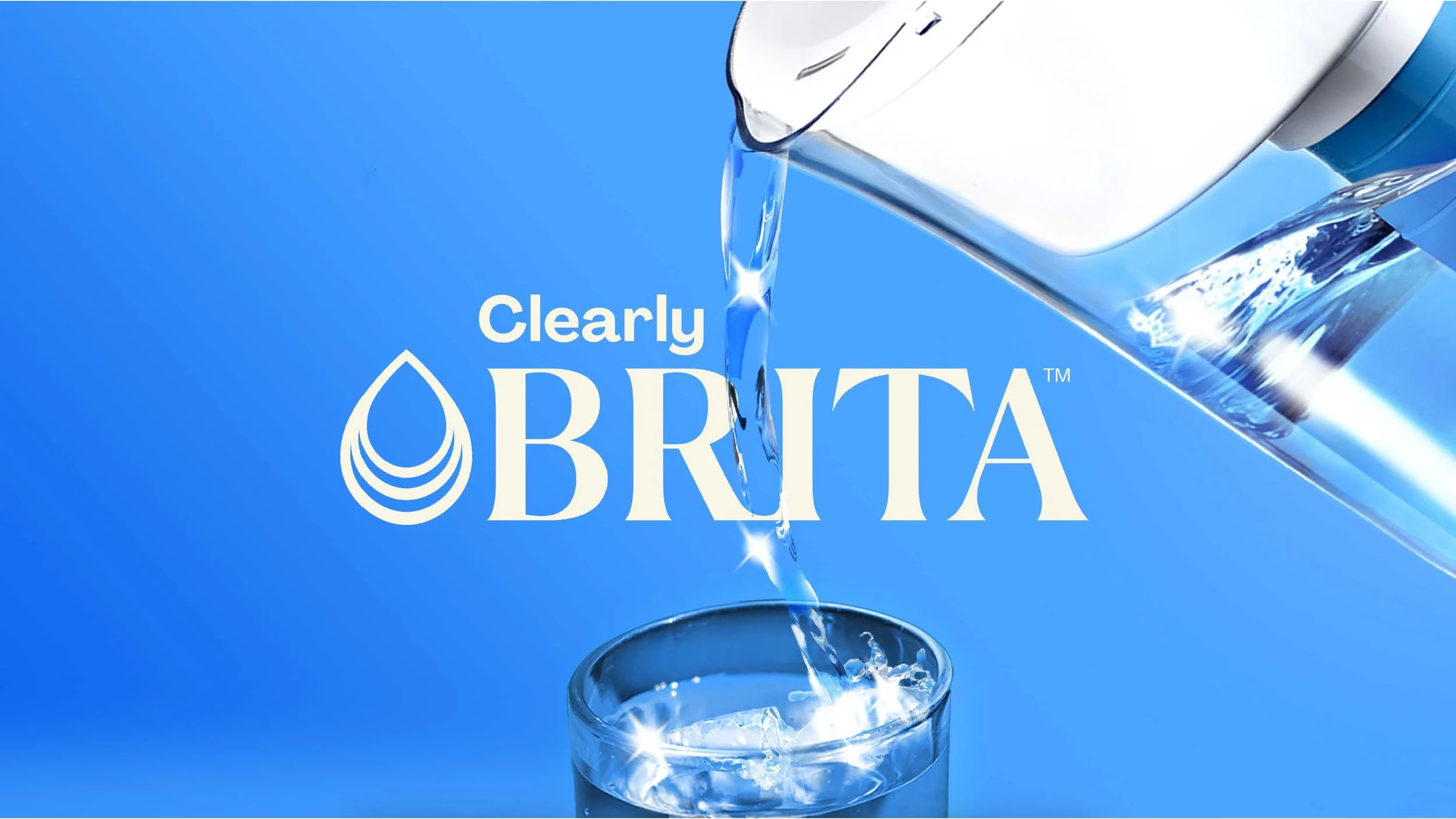 Brita VisID.jpg
