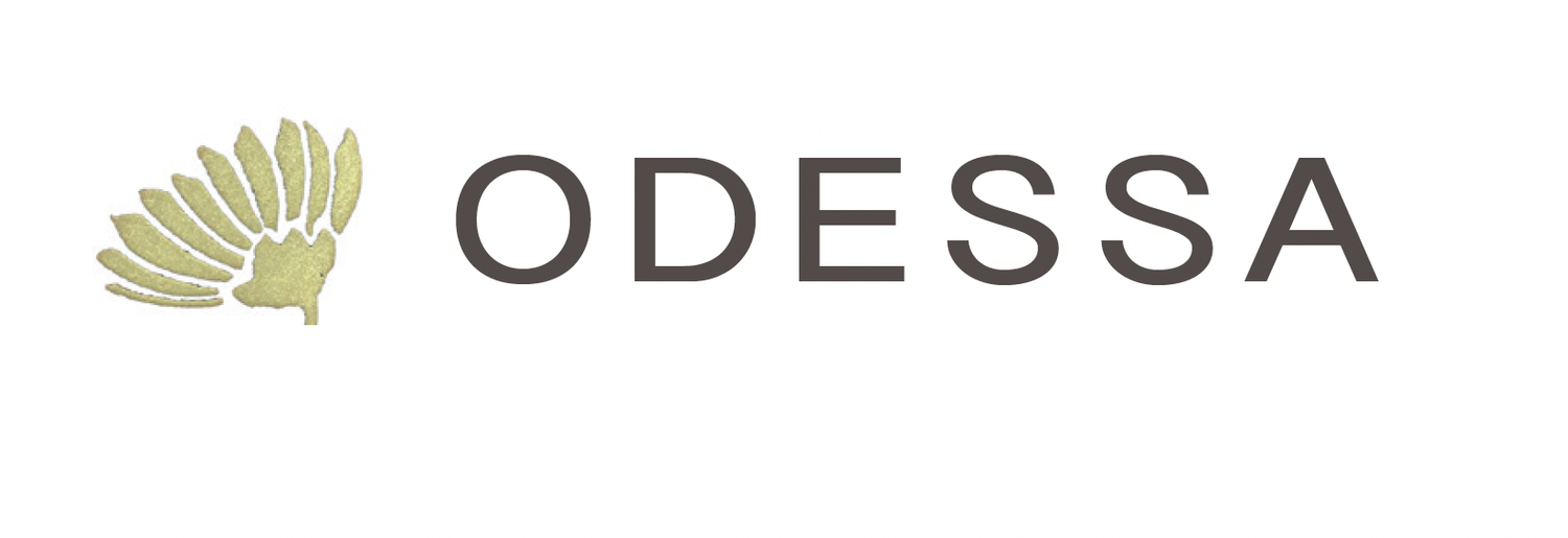 ODESSA // duurzaamheidsstrategie // MVO // ESG // CSRD // Circulaire economie // Sustainability Governance // Sustainability Consulting // Corporate Social Responsibility // Maatschappelijke Impact // Duurzaamheidsverslaglegging // Impact Reporting // Tibor Goossens // ODESSA // ODSS