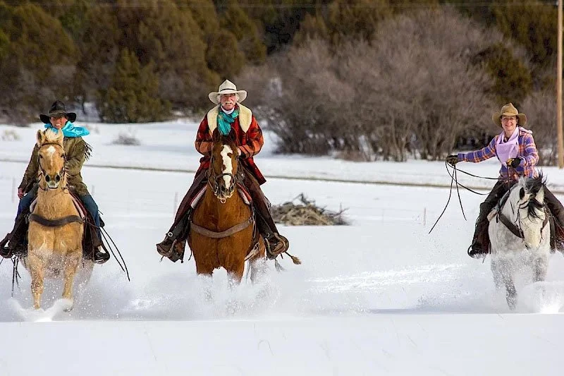 Telluride Gay Ski Week - Horseback