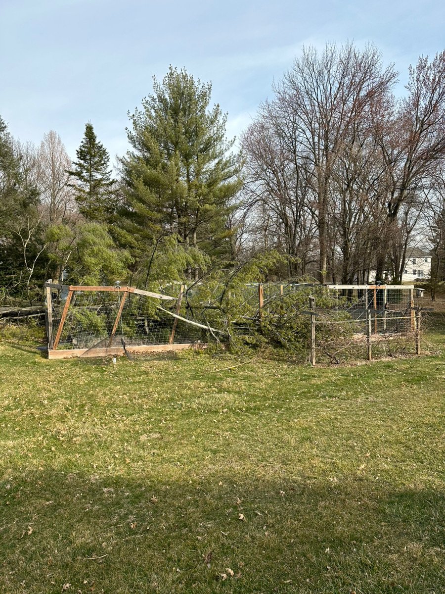 A fallen tree has damaged a wooden and wire fence in a backyard with grass and trees, some leafless, in the background.