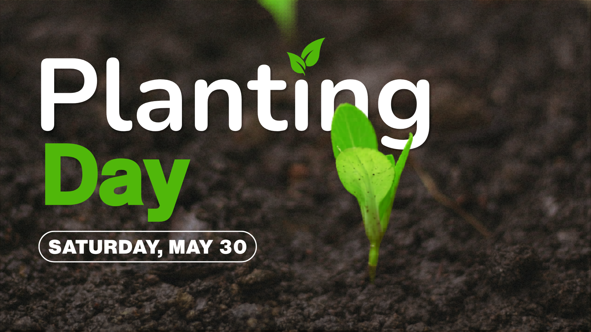Planting Day