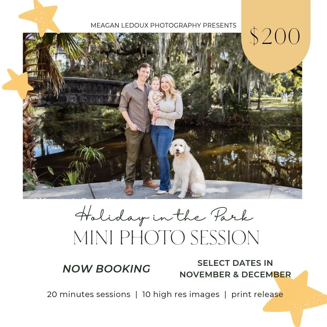 Now Booking: Holiday Mini Sessions 2026