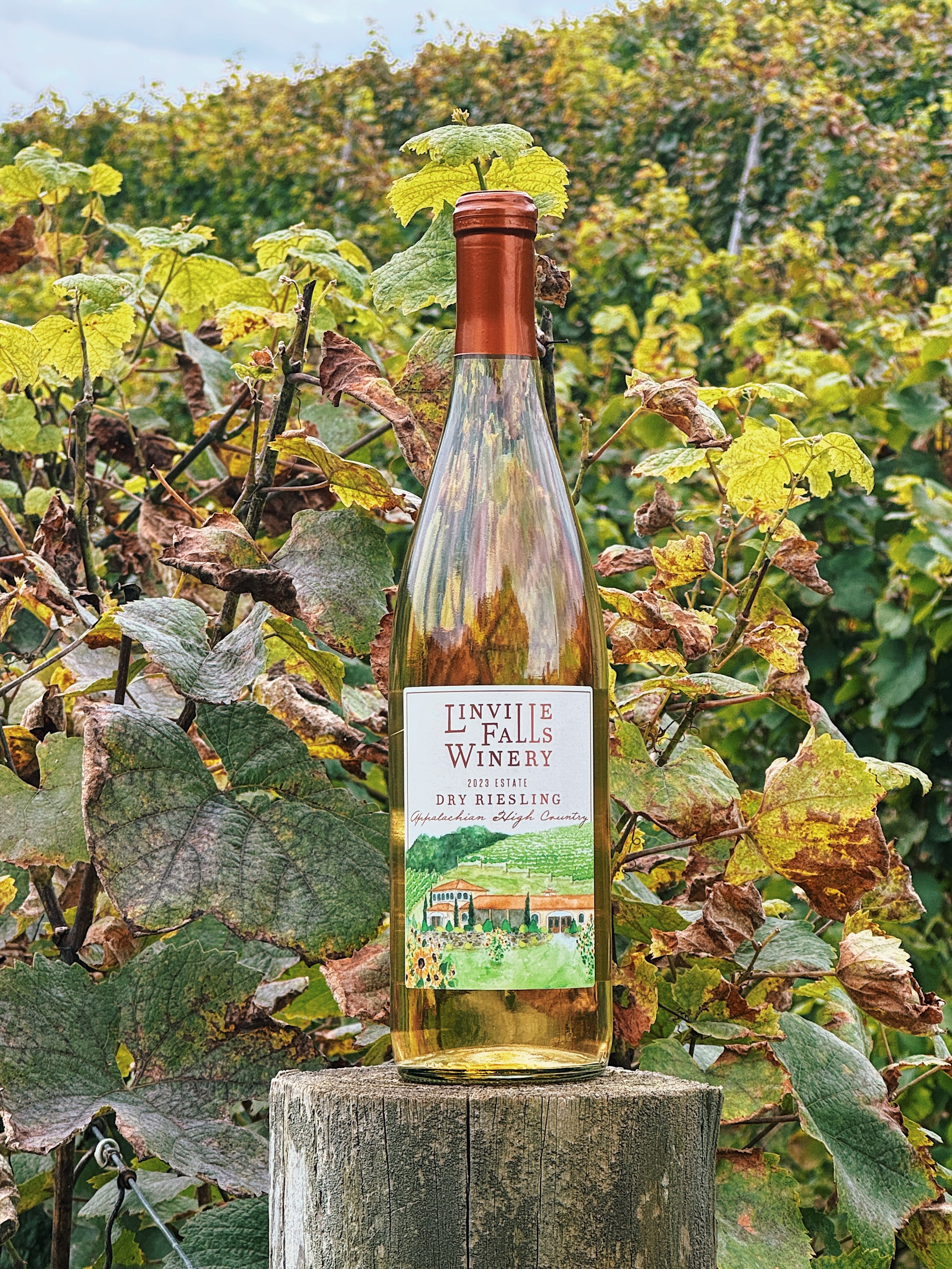 About Our Wines — Linville Falls Winery