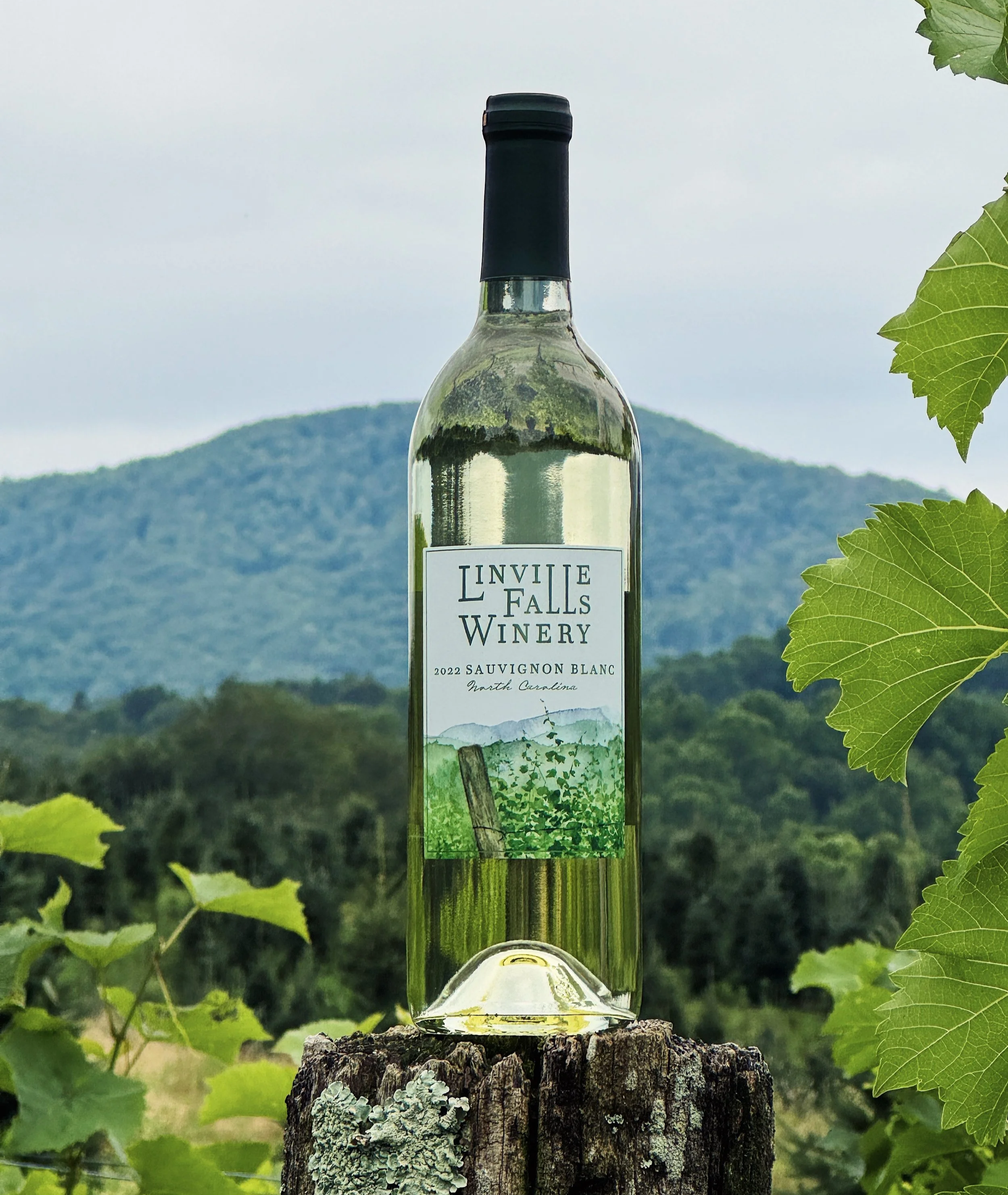 Sauvignon Blanc