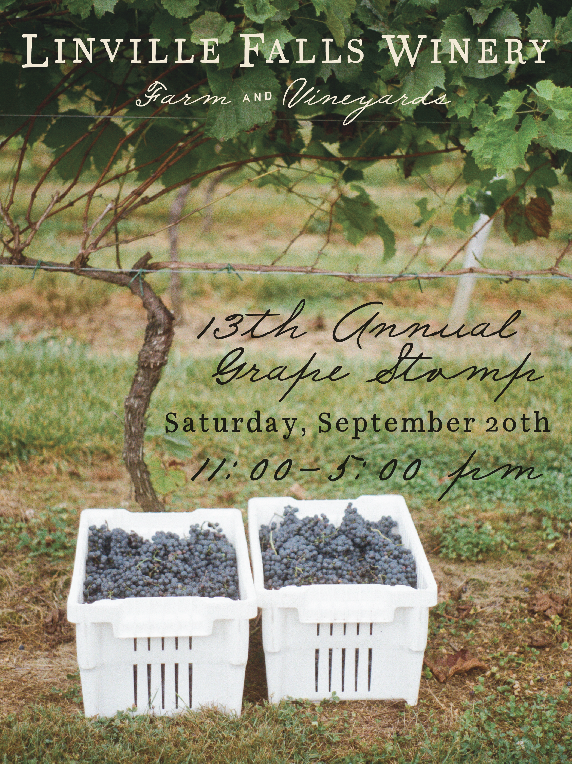13th Annual Grape Stomp! 🍇