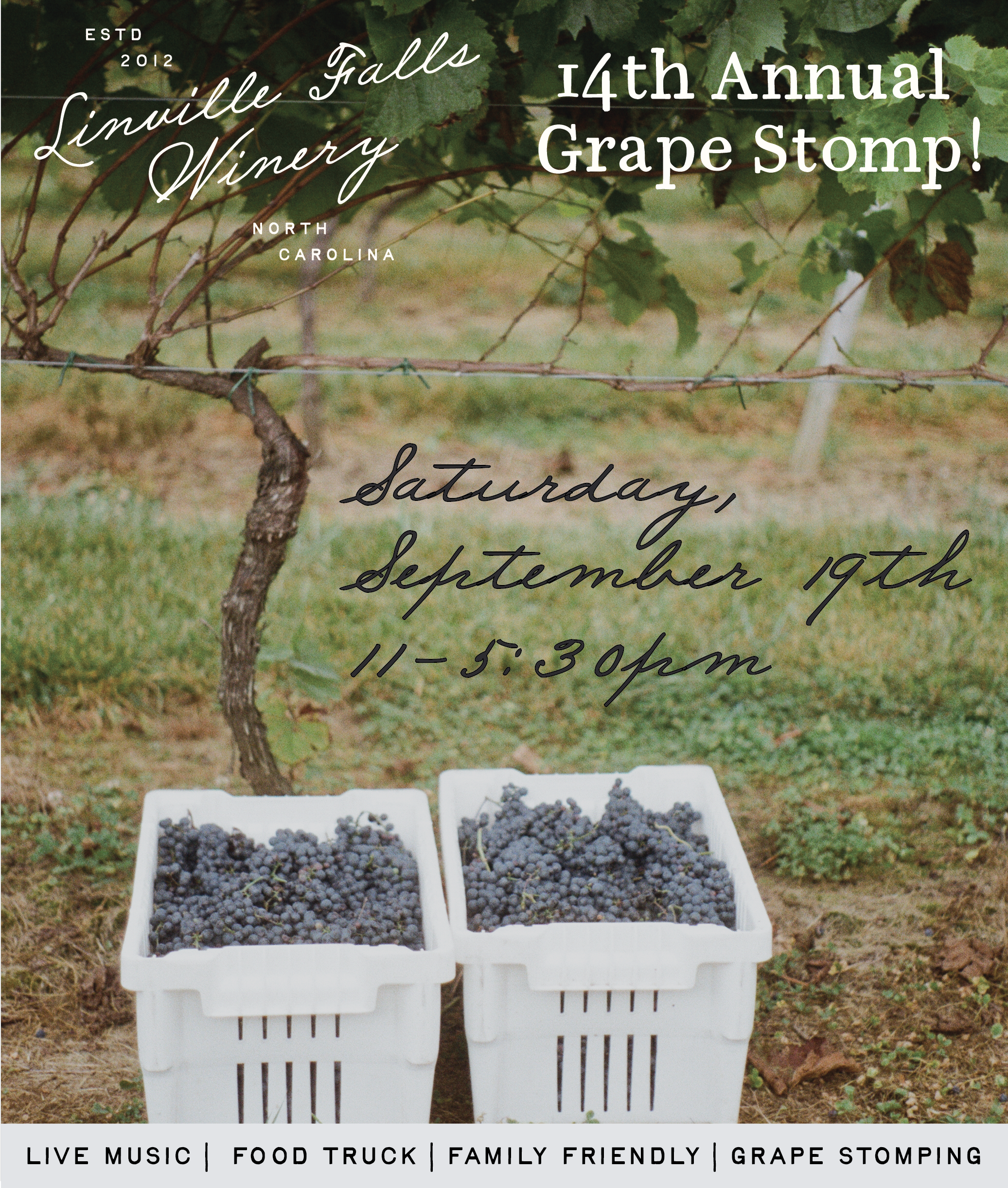 14th Annual Grape Stomp! 🍇