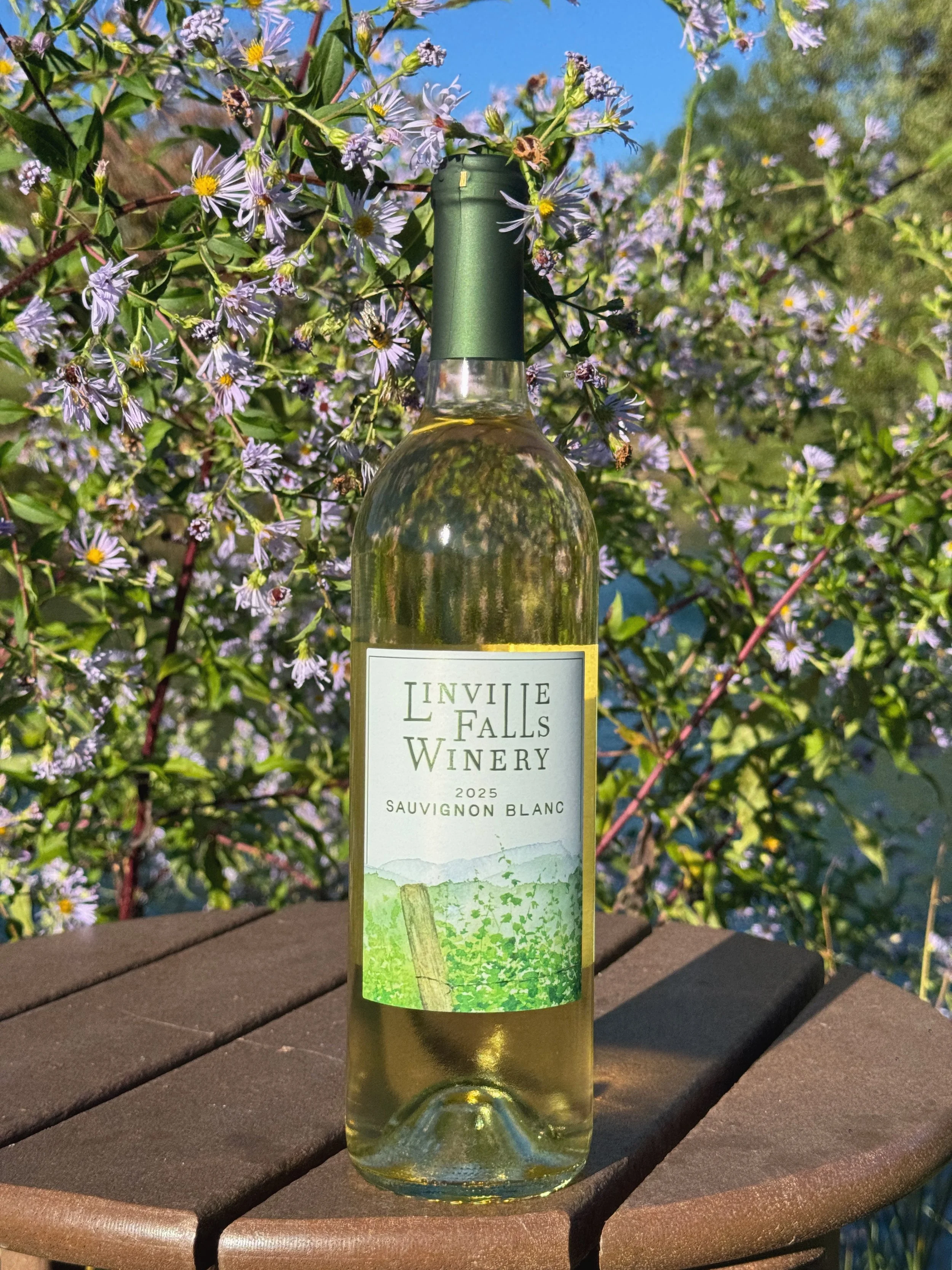 Sauvignon Blanc