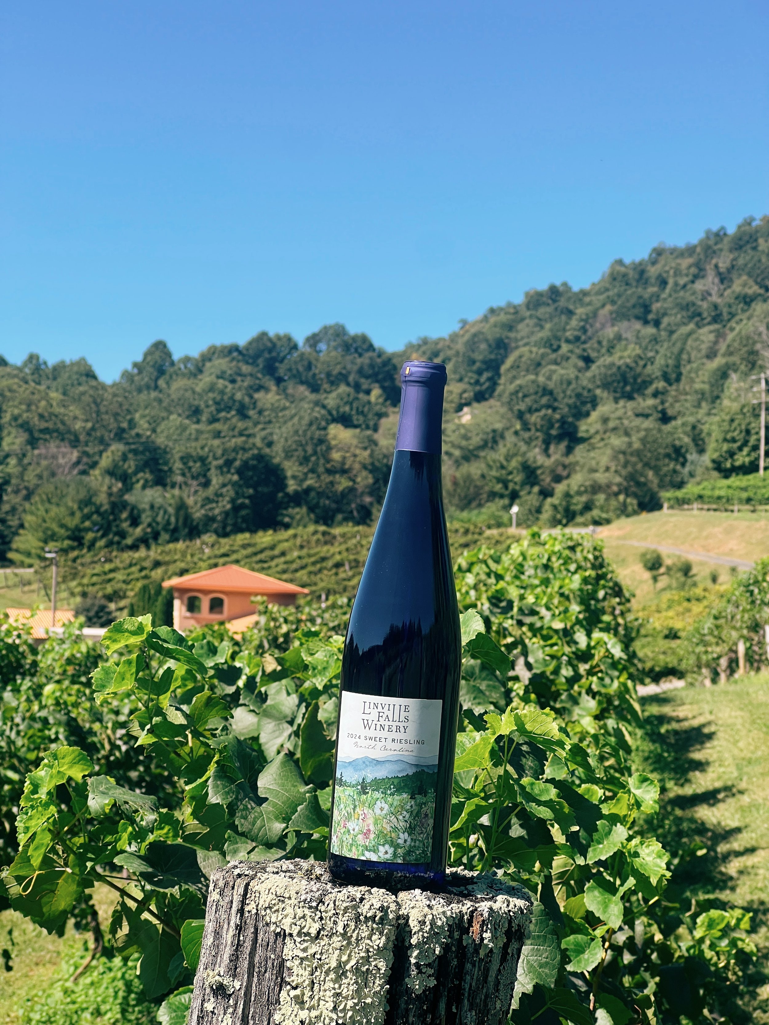 Sweet Riesling
