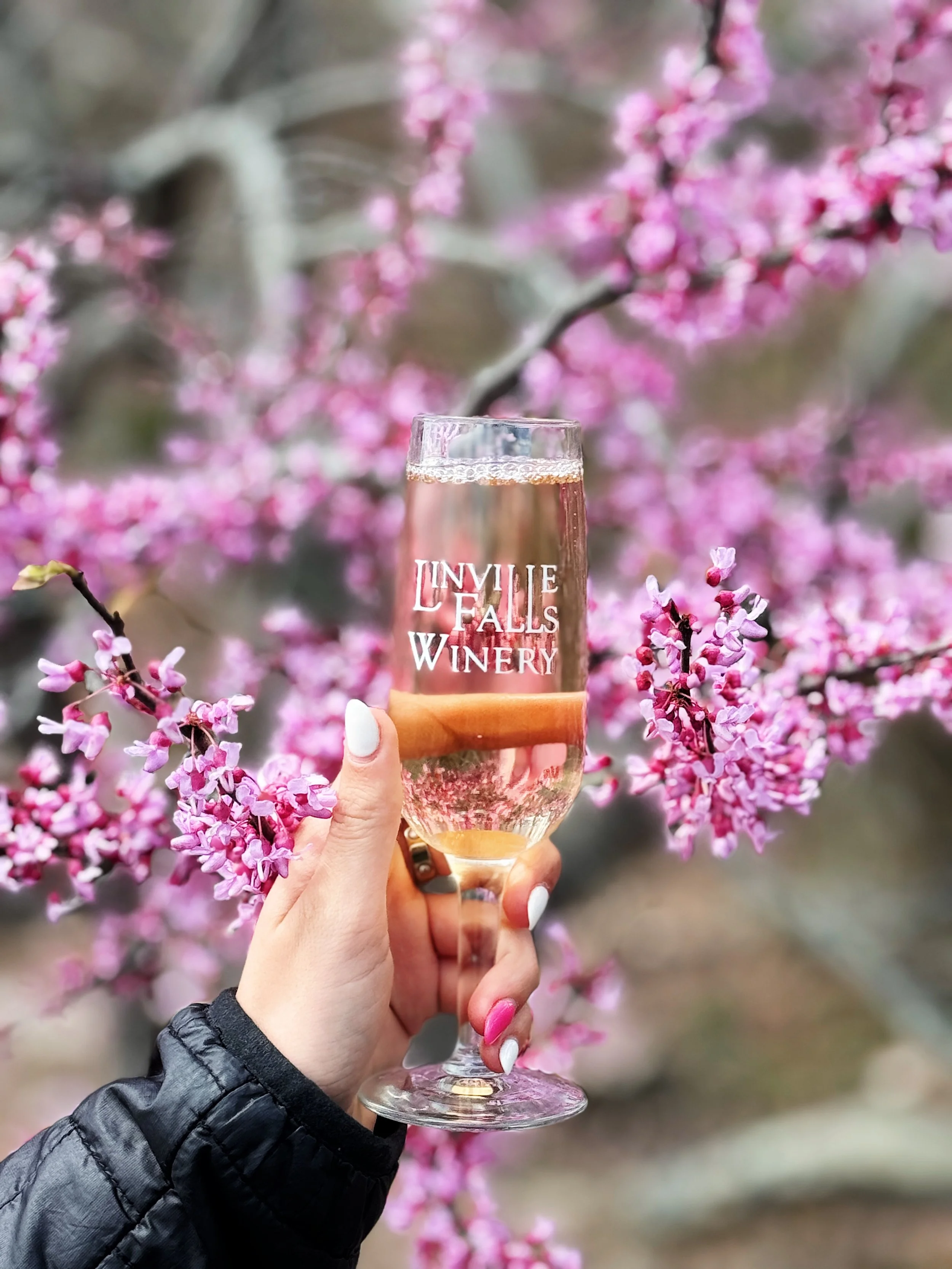 Linville Falls Winery