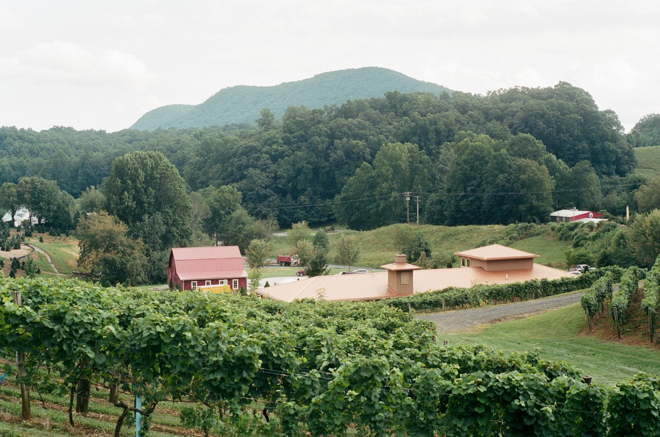 Calendar — Linville Falls Winery