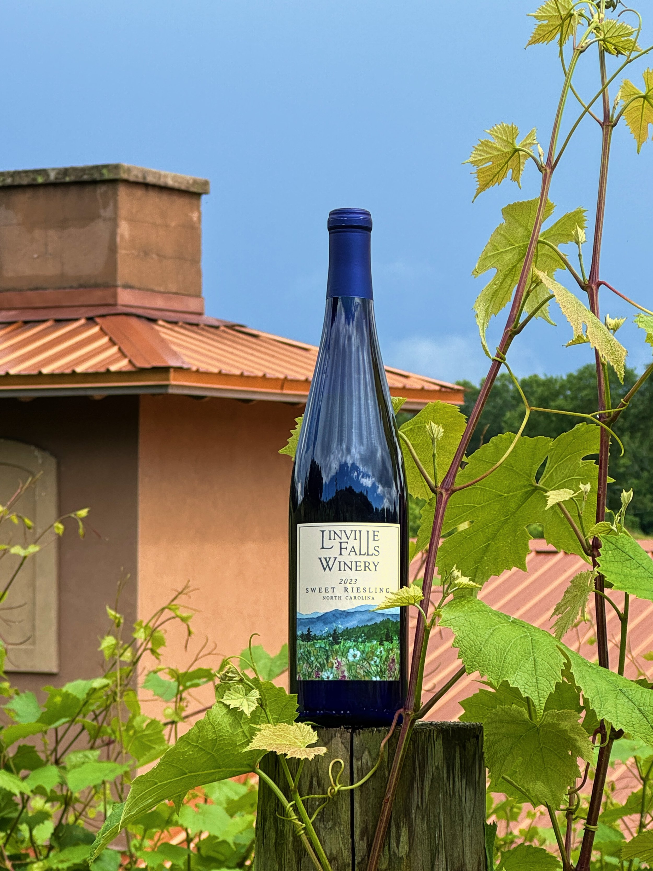 Sweet Riesling