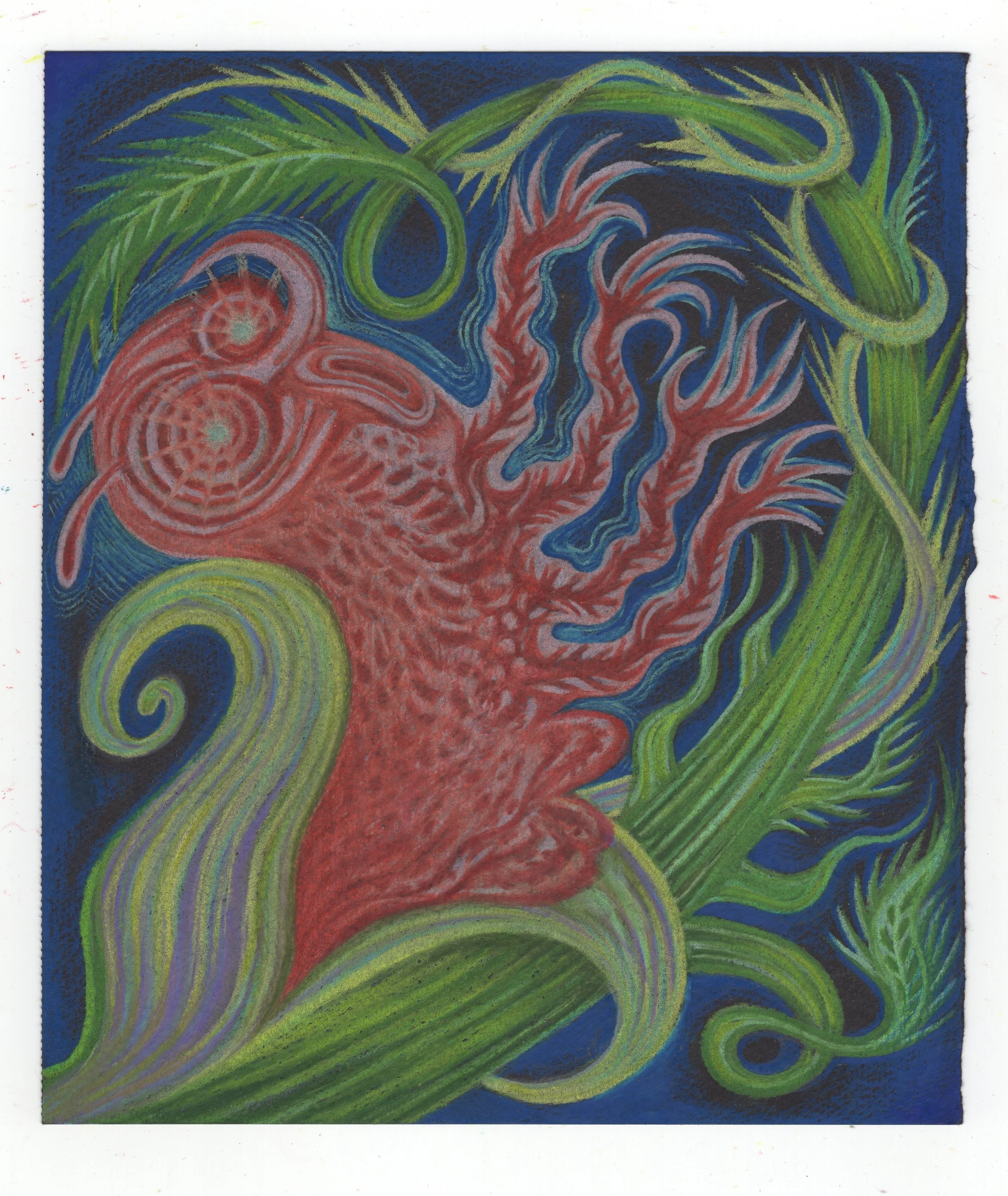 Coming Out of the Chrysalis - Colored pencil on black paper (8.5 x 7.25 inches) 2026