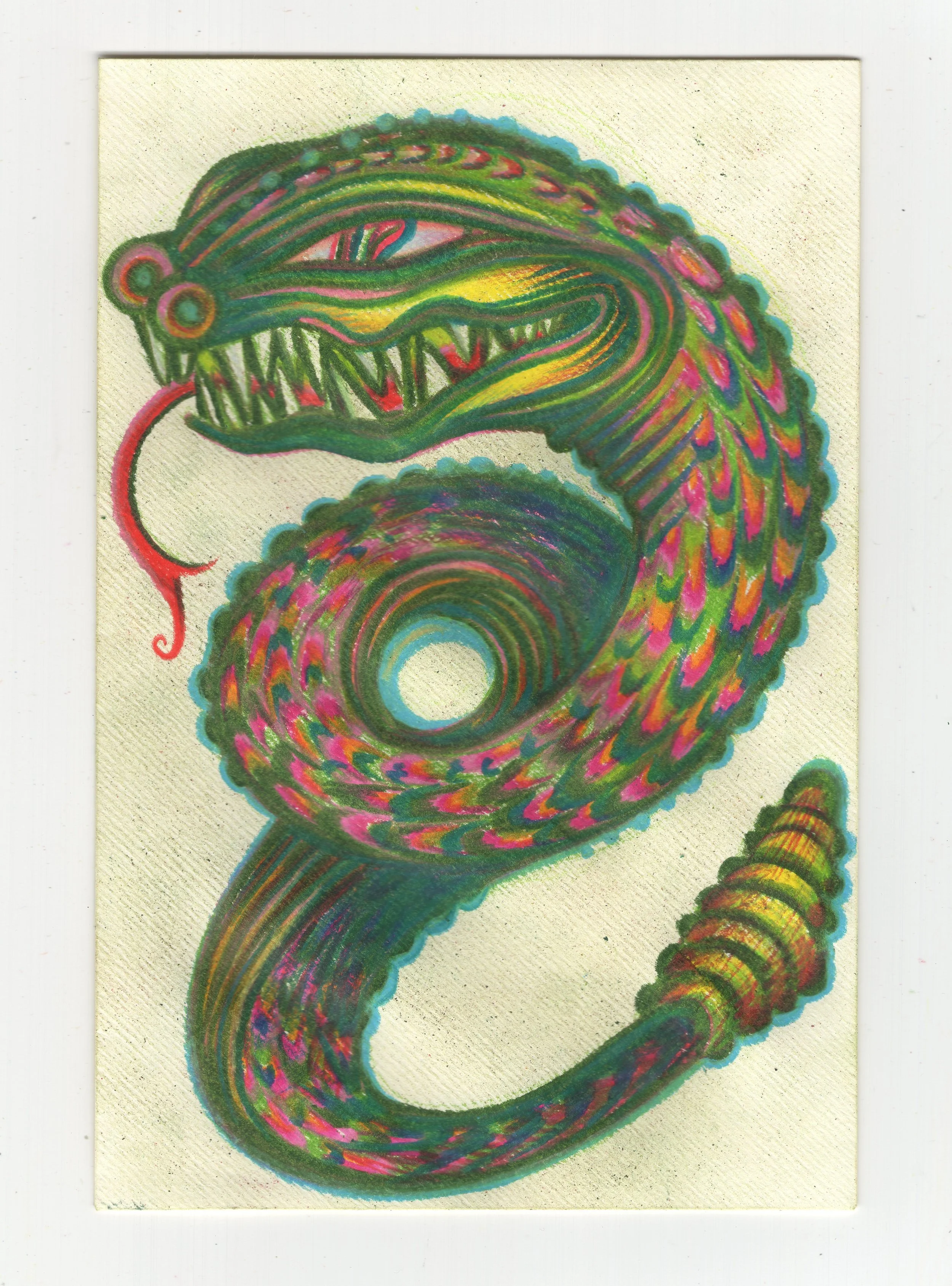 Snake Envelope 2025.jpg