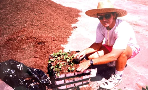 Premier Color Nursery, local shop in Fallbrook, photo 4 of 8
