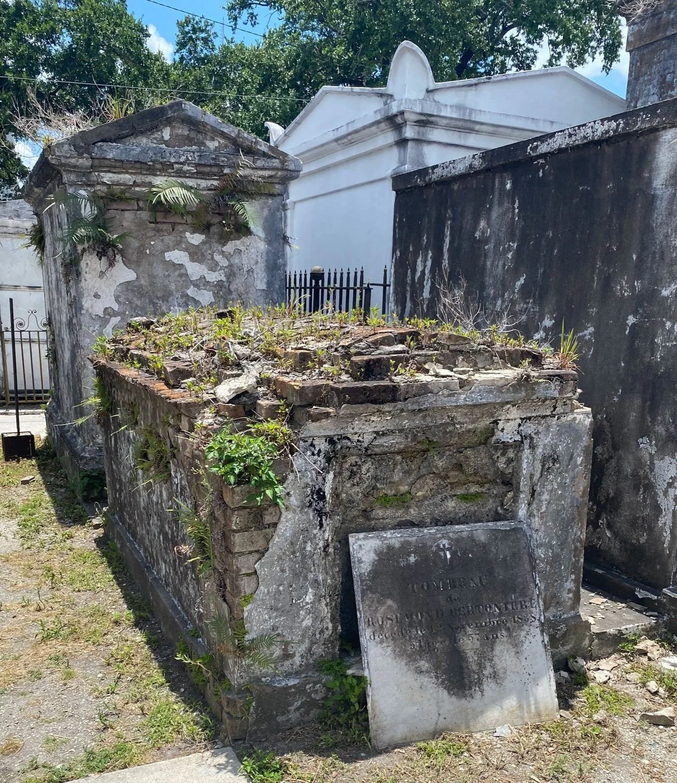 Giving the Dead Their Due: The Abandoned Tomb Initiative